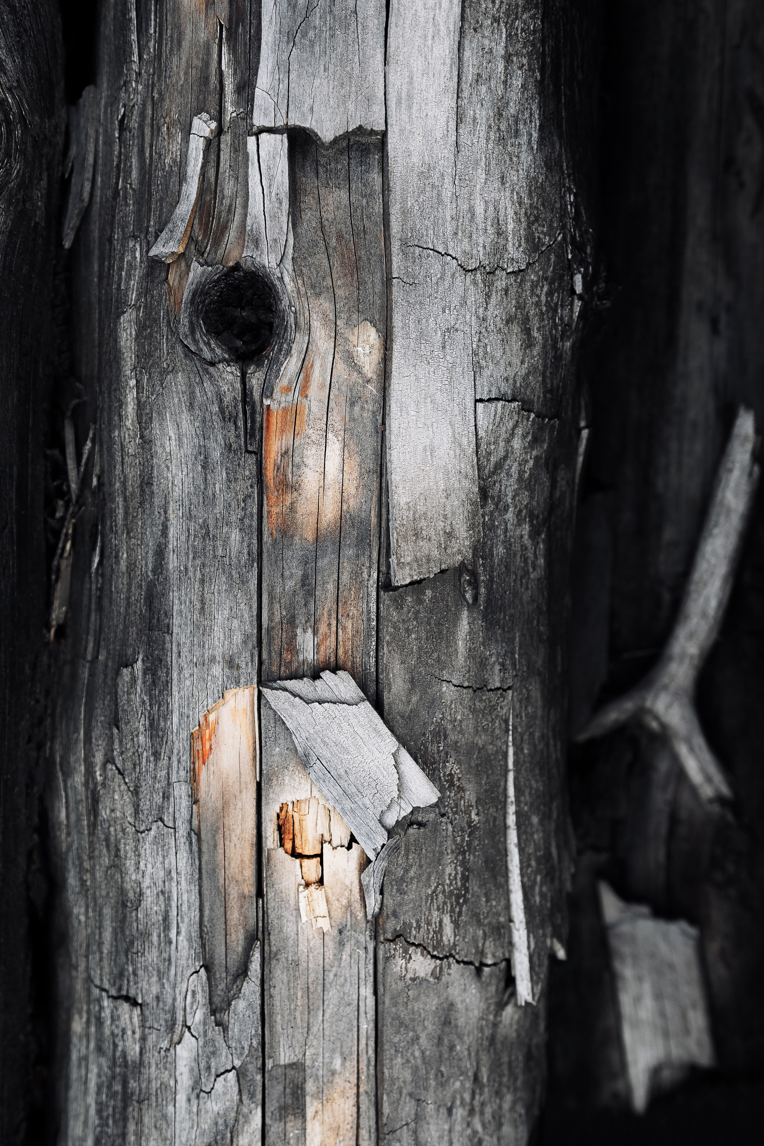 Жизнь. Фотограф Алматы | Весь мир — Никита Колодин