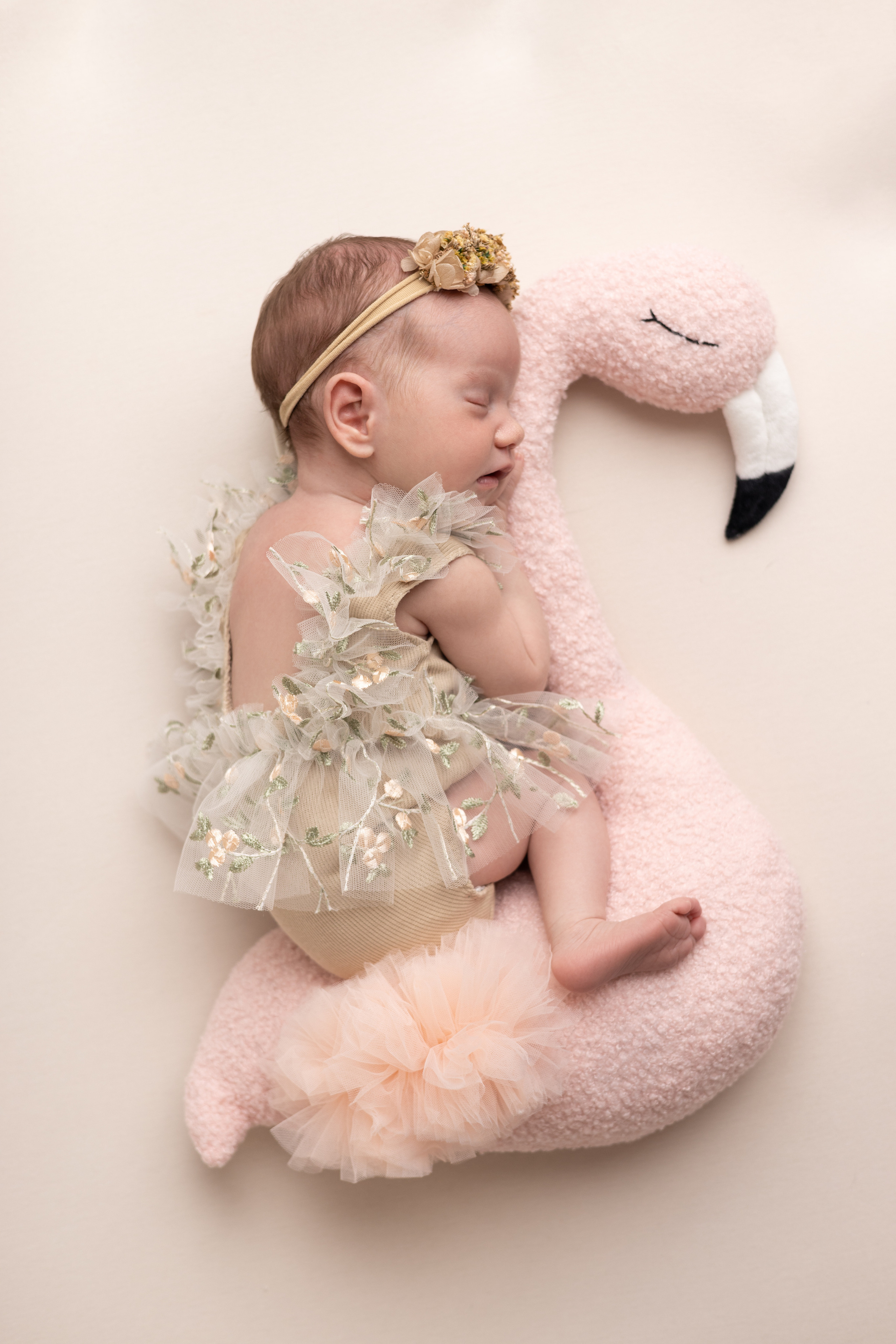 Агата 17 дней. Станисис Мила • Ньюборн фотограф в Москве