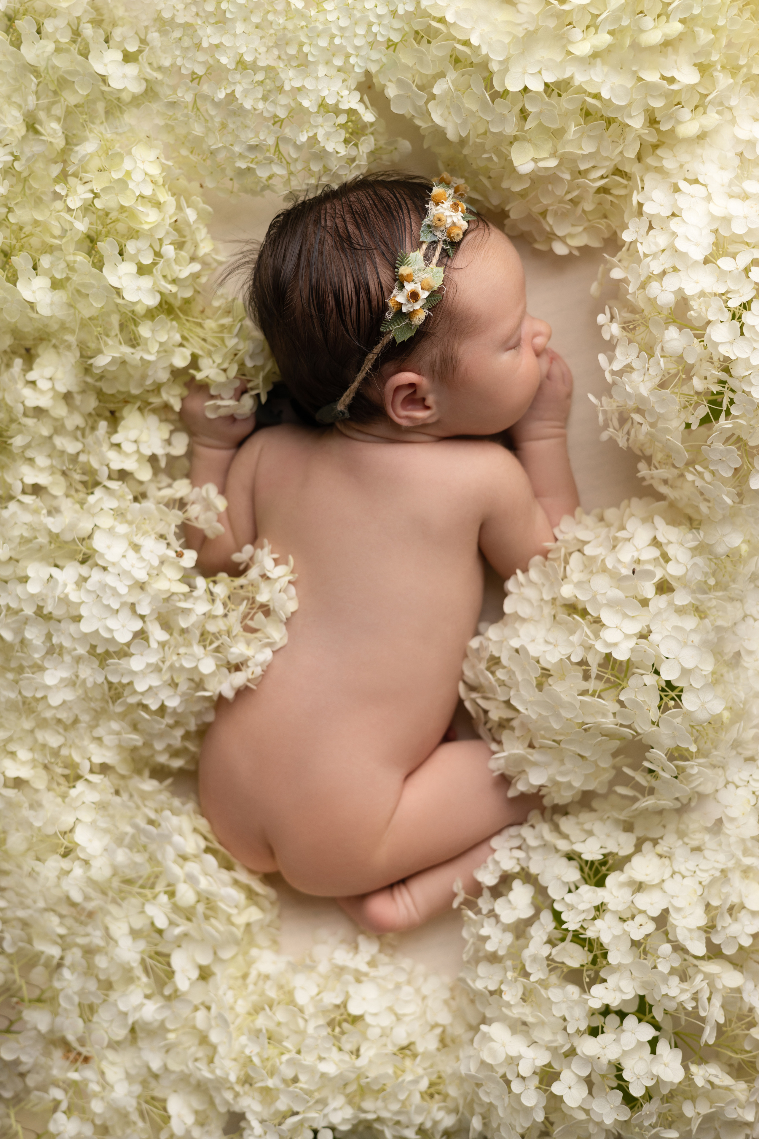 Лада 15 дней. Станисис Мила • Ньюборн фотограф в Москве