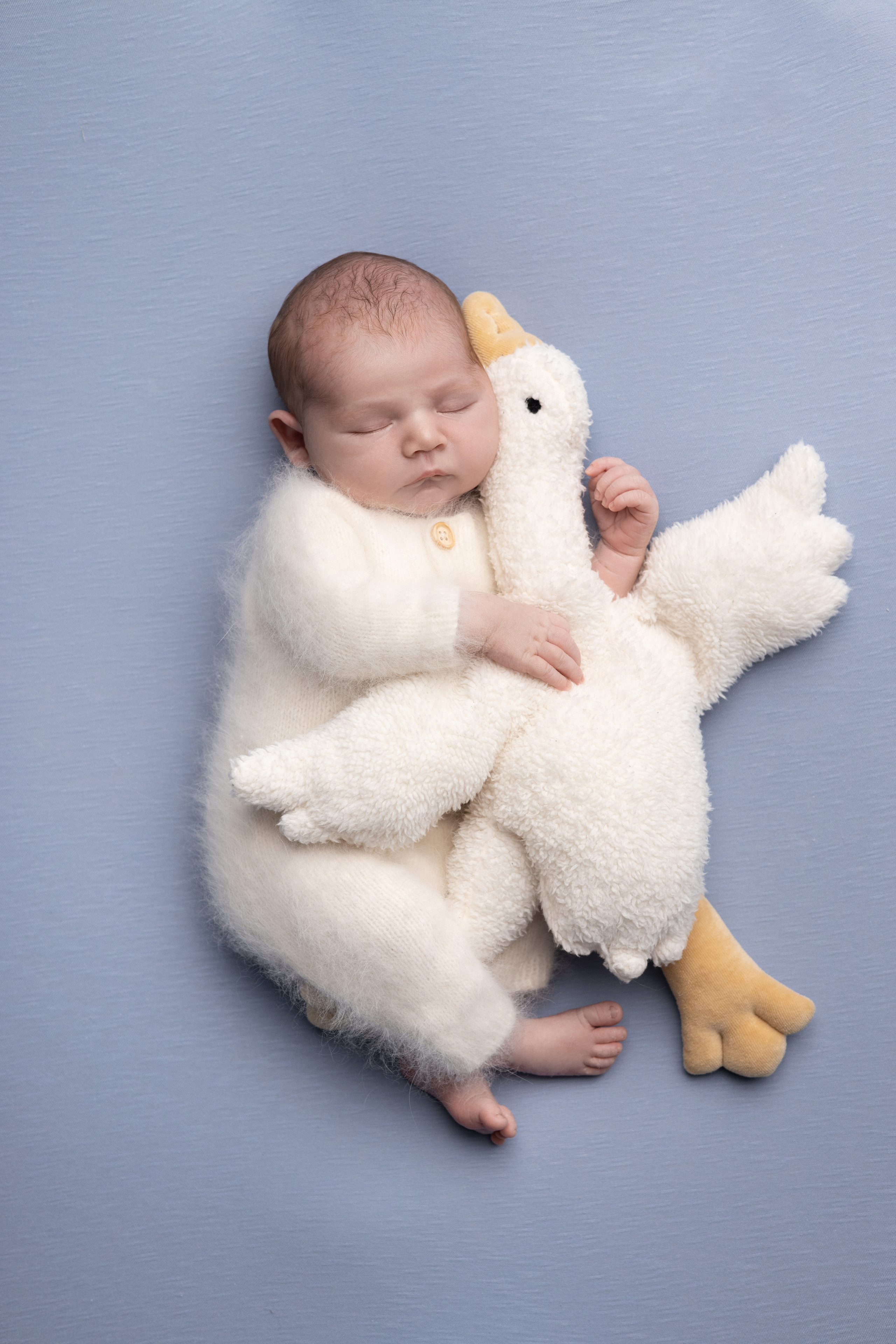 Давид 11 дней. Станисис Мила • Ньюборн фотограф в Москве