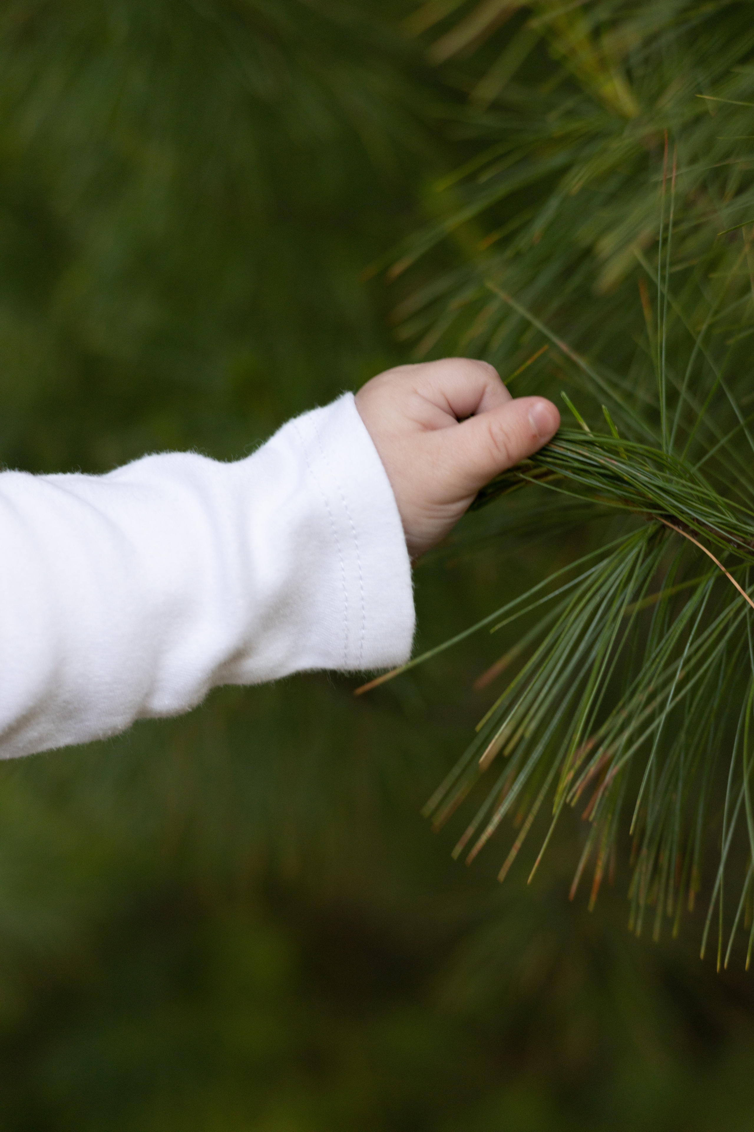 Кира. Станисис Мила • Ньюборн фотограф в Москве