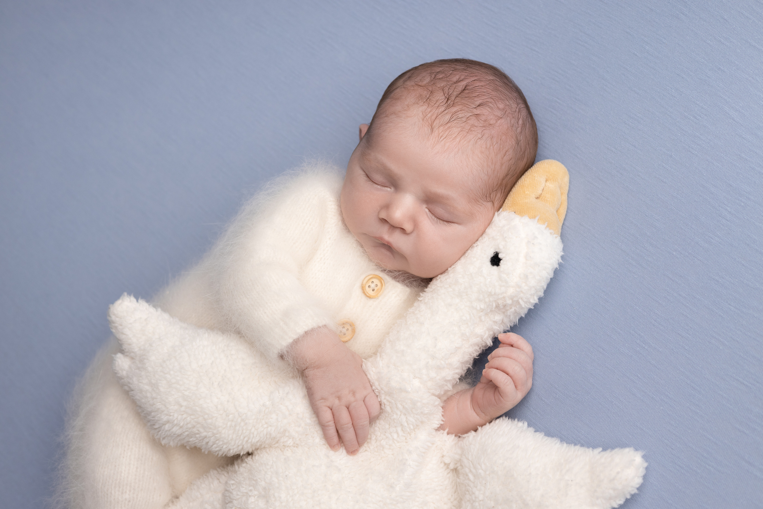 Давид 11 дней. Станисис Мила • Ньюборн фотограф в Москве