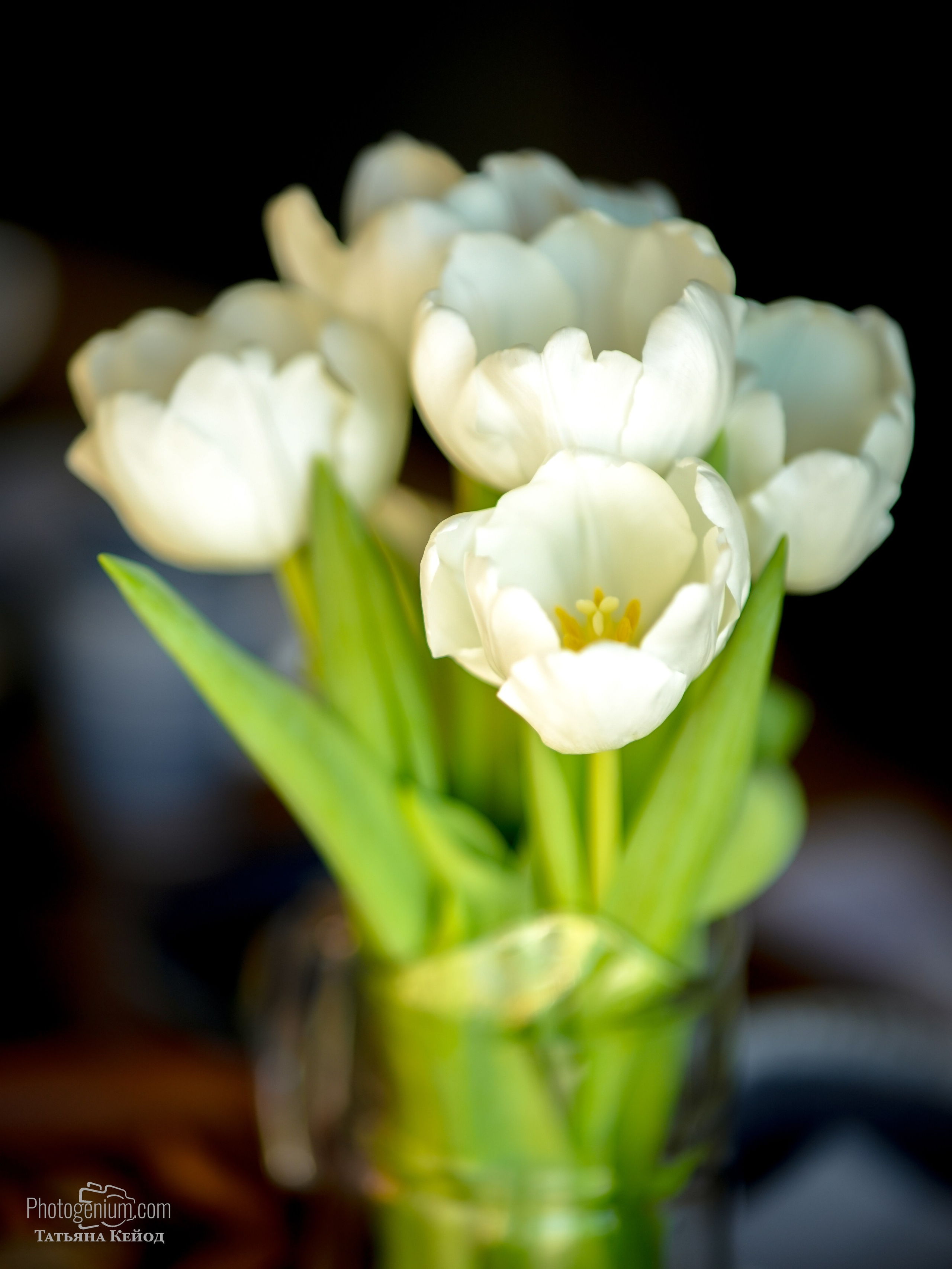 Баня Осока Нижний Новгород Татьяна Виноградова. Фотограф Нижний Новгород Татьяна Кейод