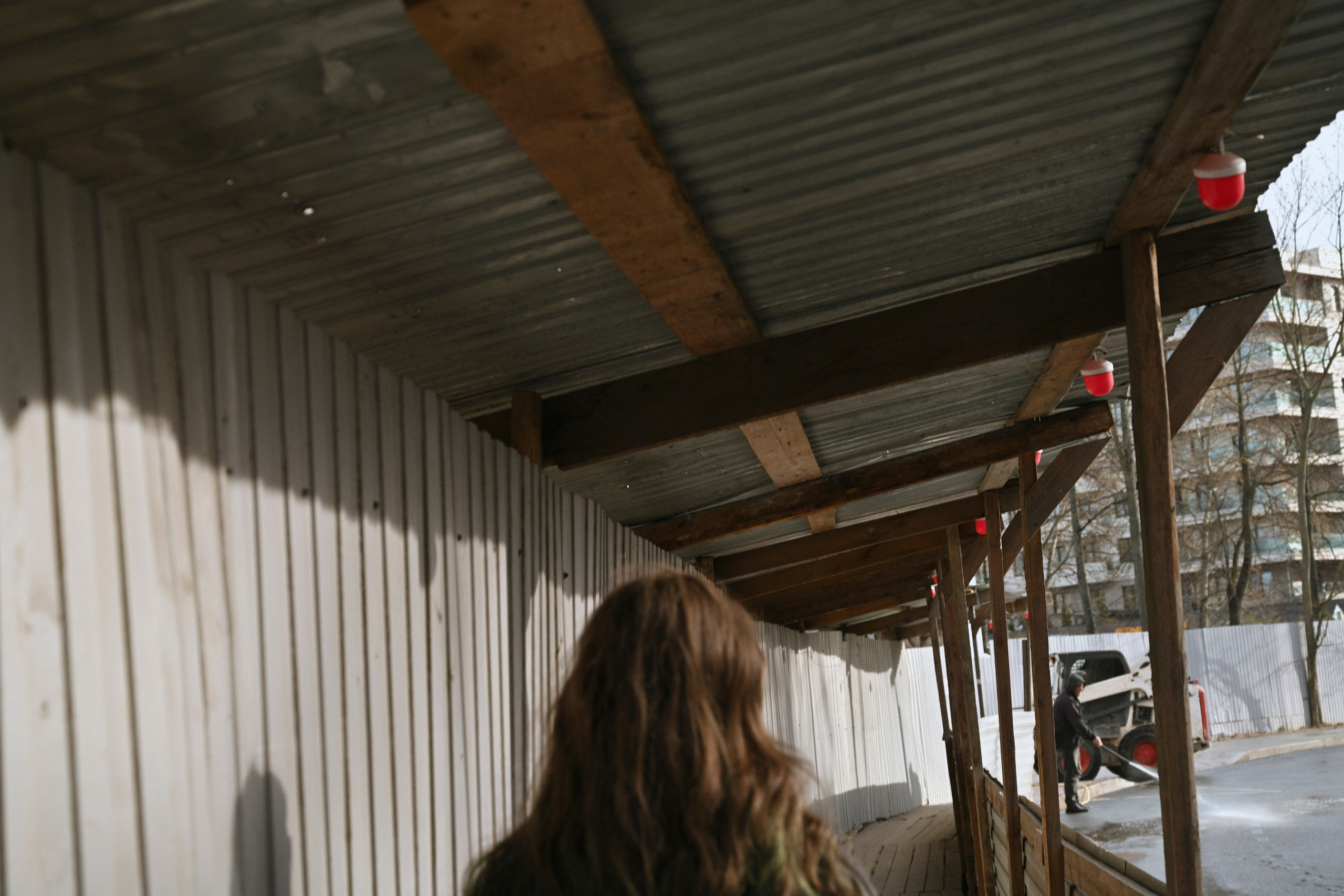 DARIA. Shyjungle's Portfolio