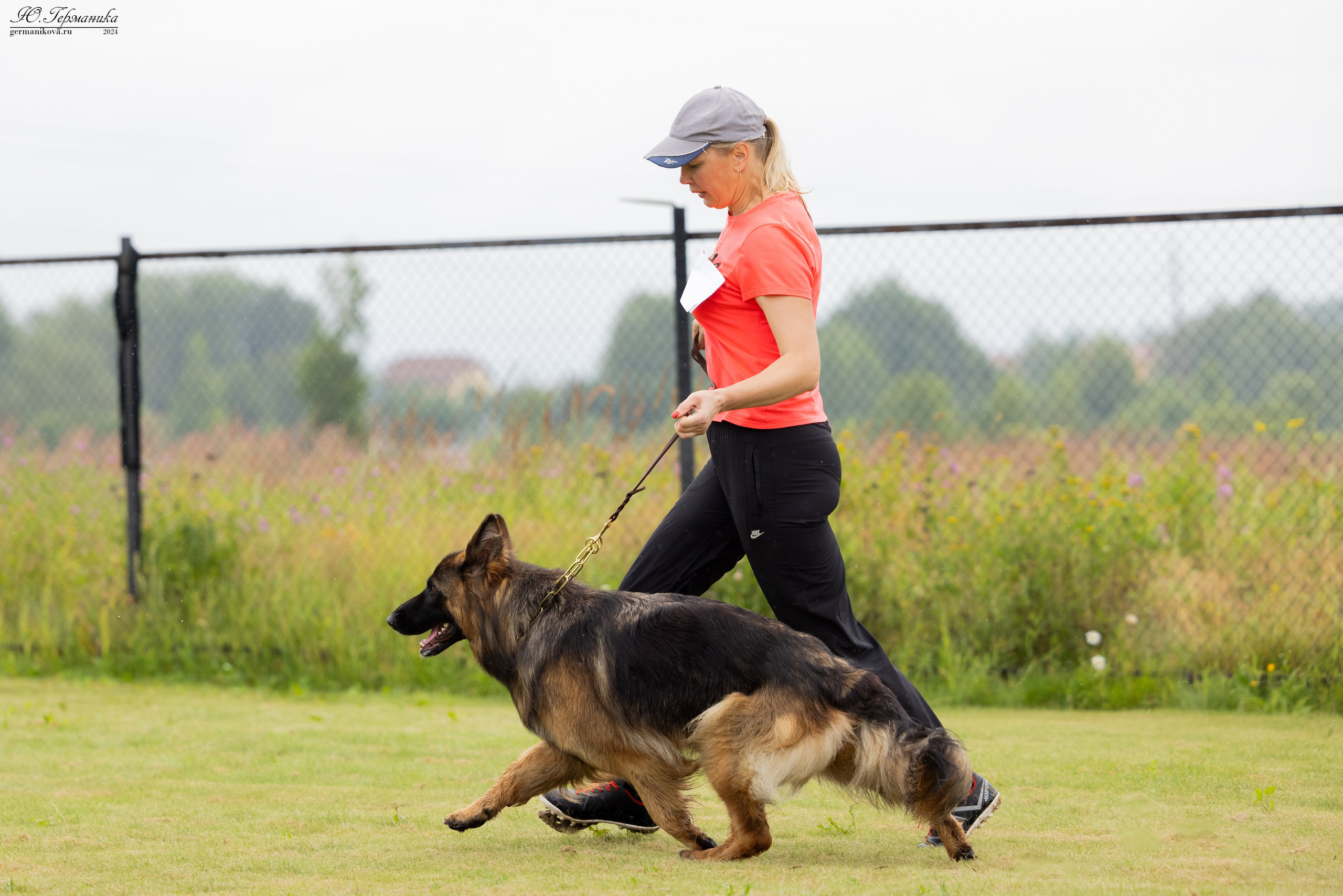 Ярославль 21.07.24 и Балашиха 13.07.24. Фотограф-анималист Юлия Германика