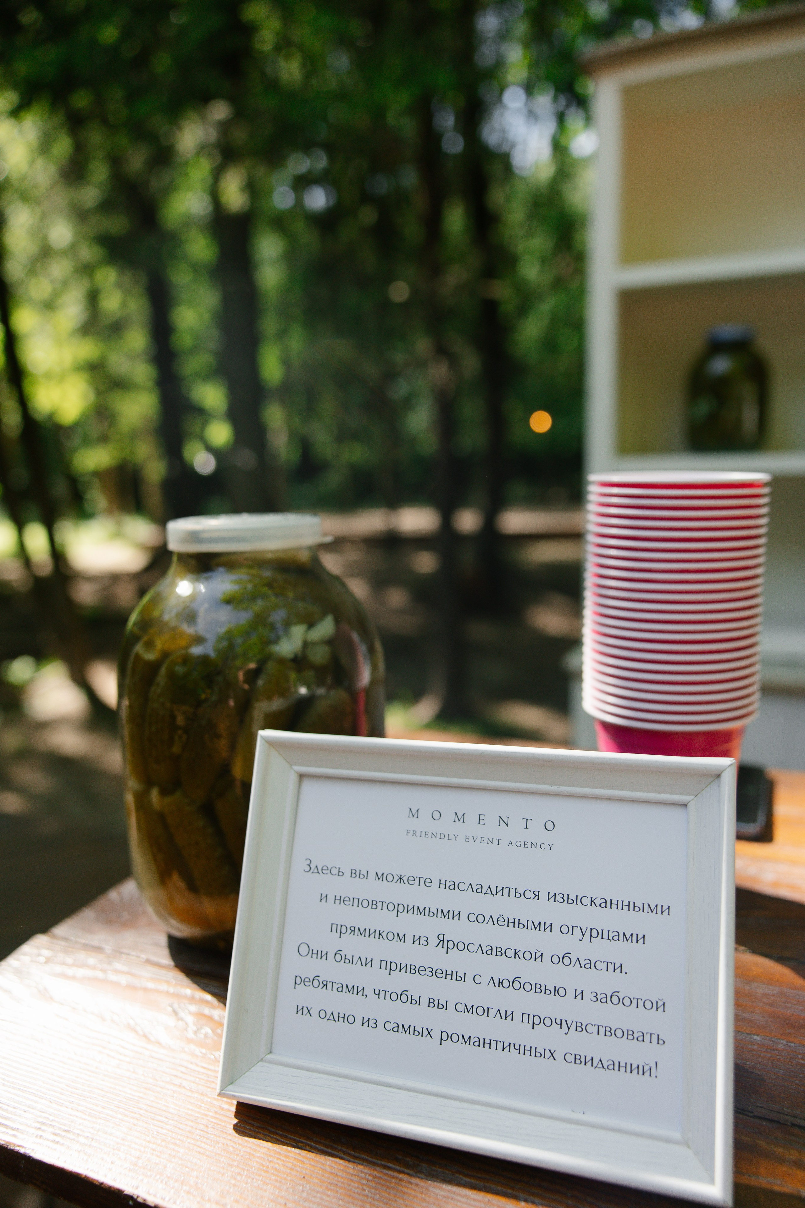 Максим и Александра. Свадебный фотограф Полина Панина