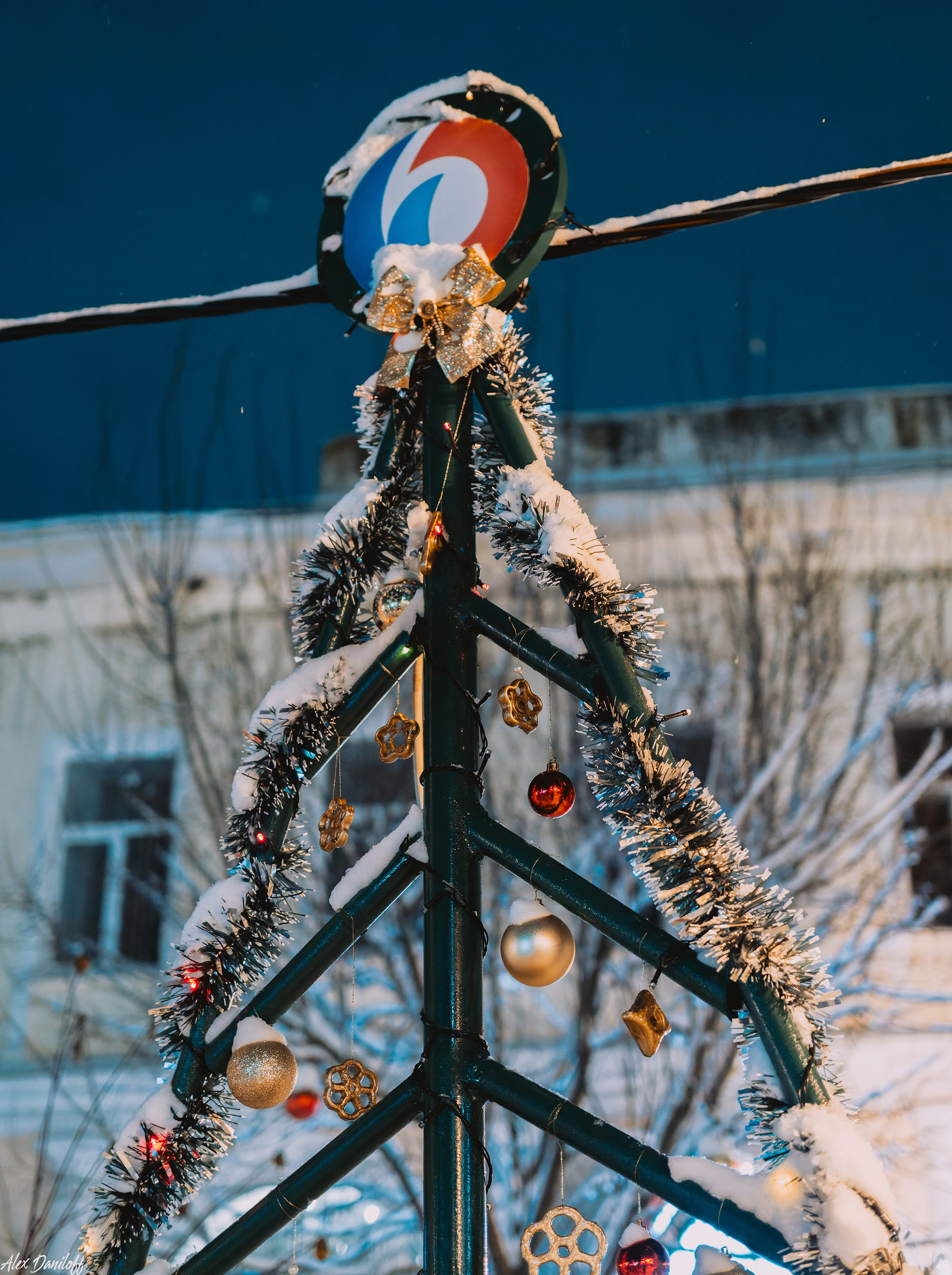 Елки 2025. Муром-Инфо. Новости культуры, образования, спорта в городе Муром