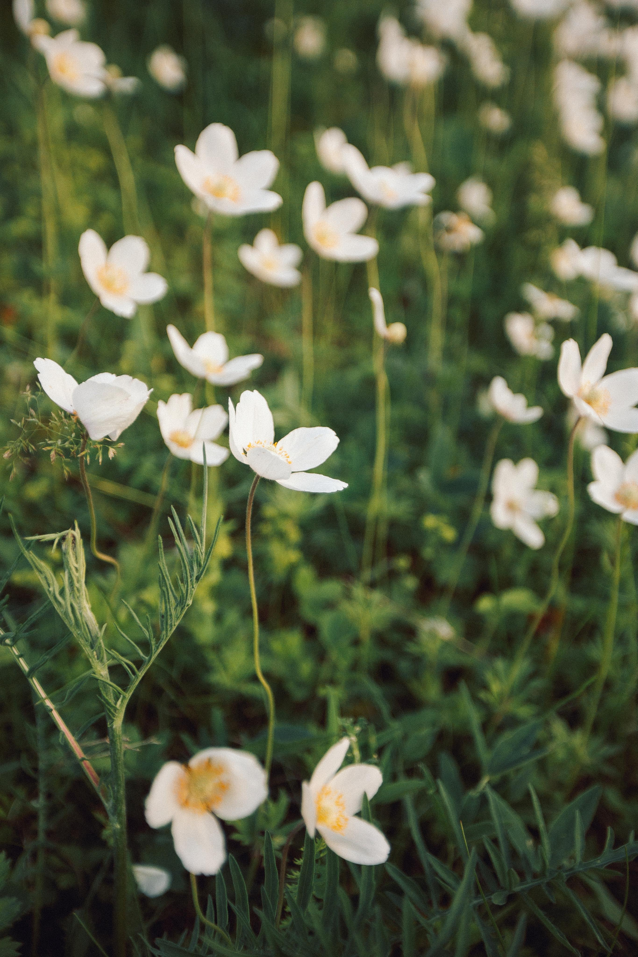 Фотосессия для Татьяны. Профессиональная видео и фото съёмка в Калуге и области