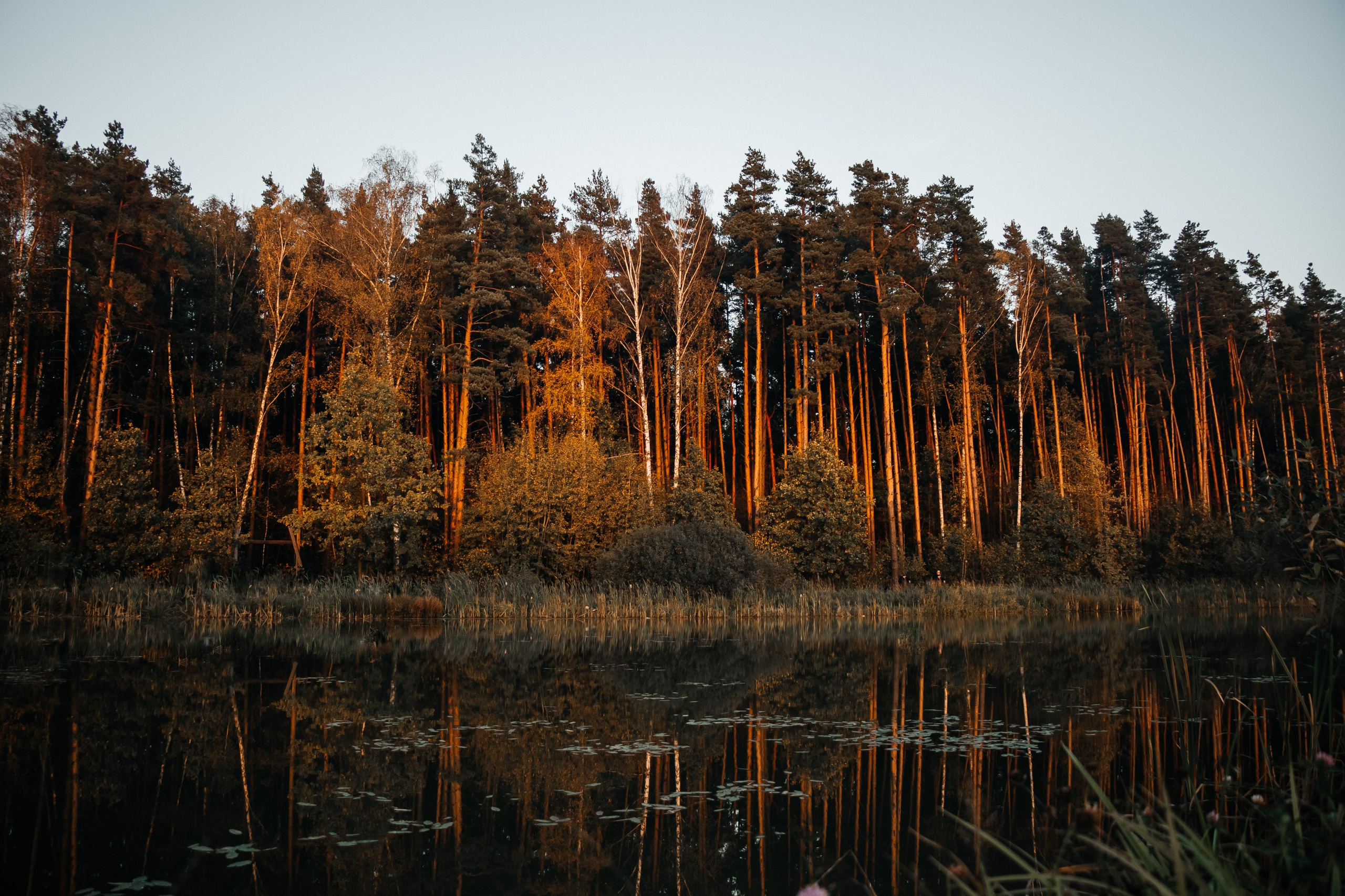 Семейная фотосессия. Свадебный и портретный фотограф в Воронеже Нестеренко Илья