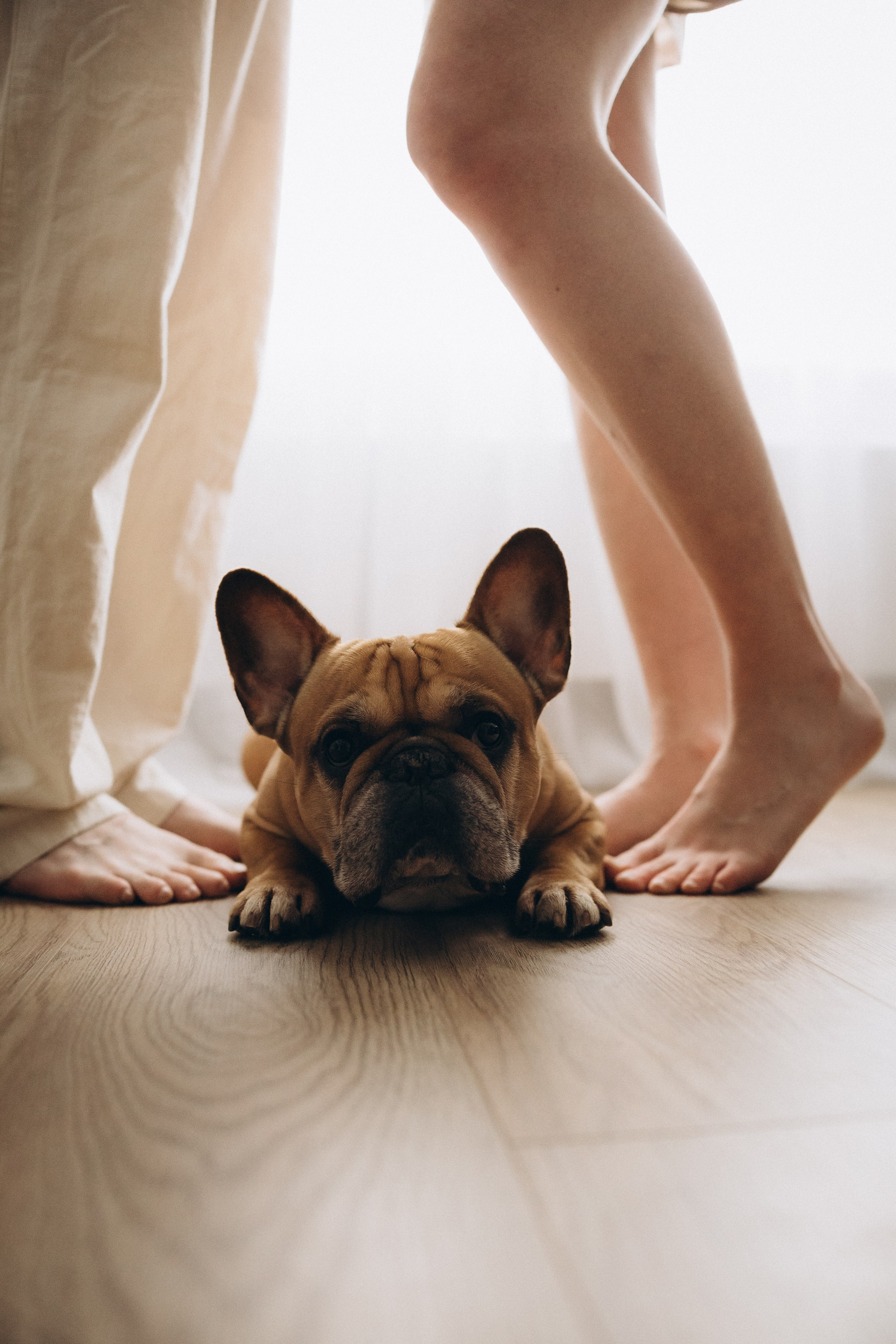 Майя. Евгения Пелипас