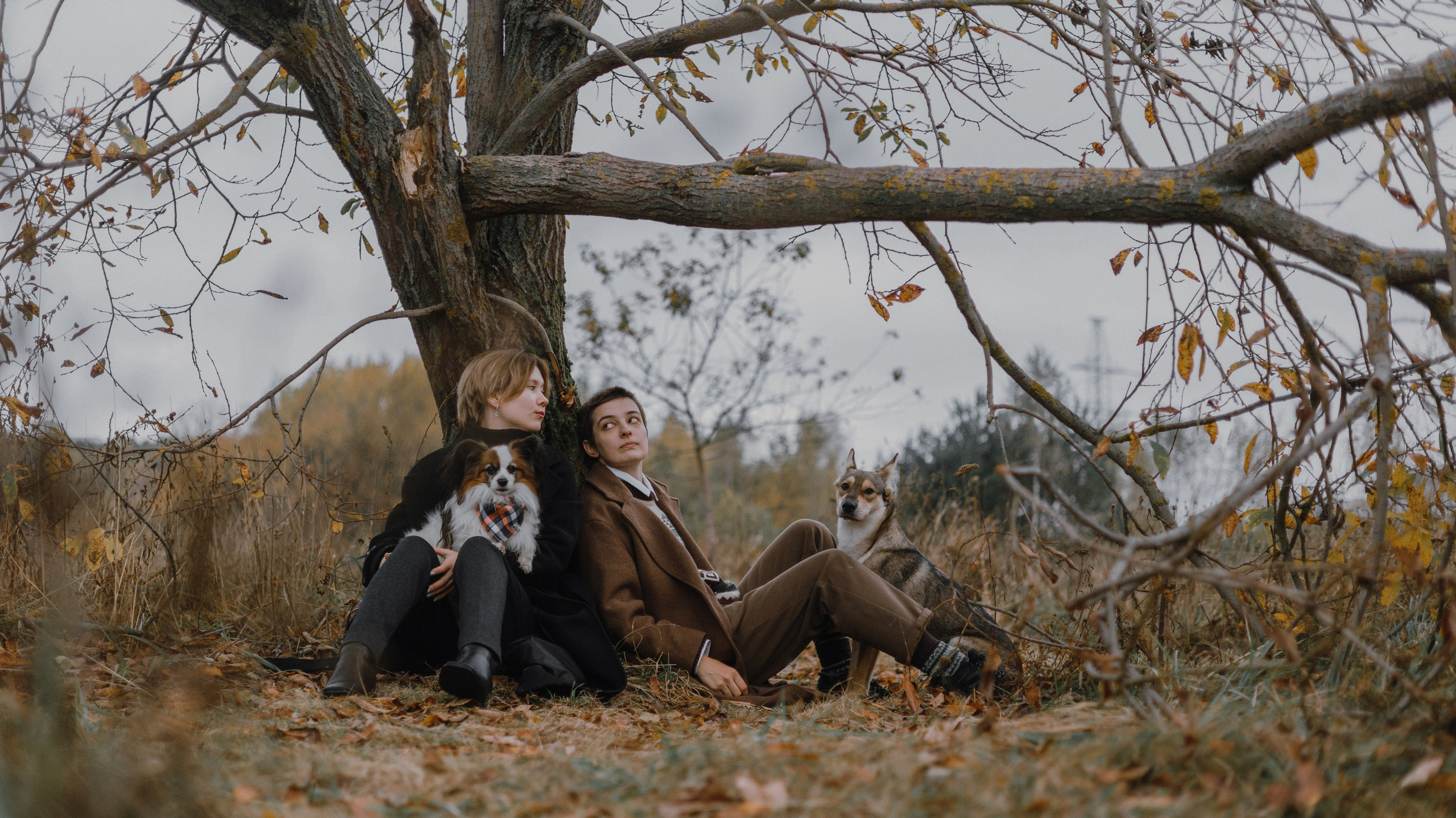 Маша, Катя, Астрид и Мася. Фотограф-анималист Богданова Полина