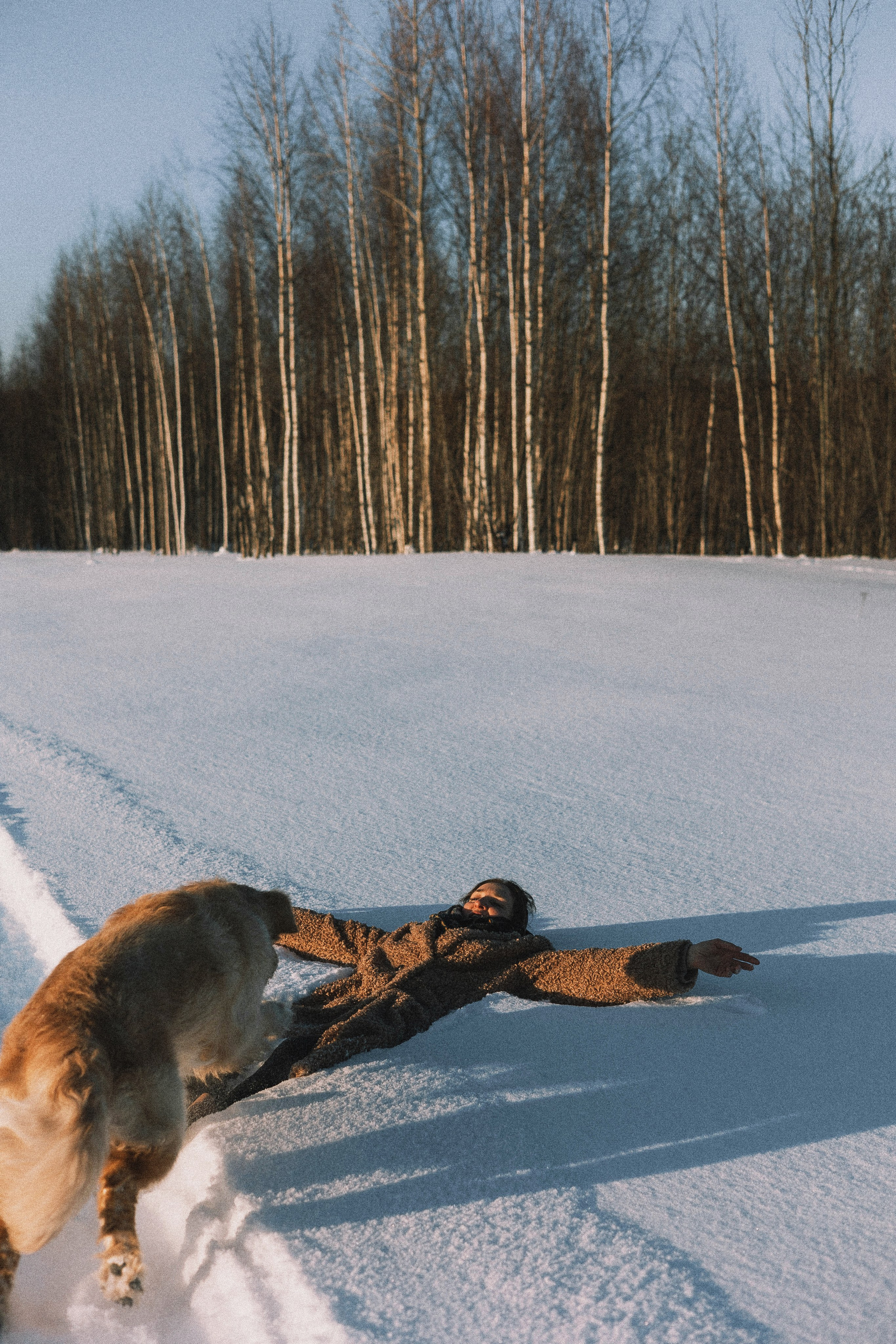Лена и Декстер. Фотограф-анималист Богданова Полина