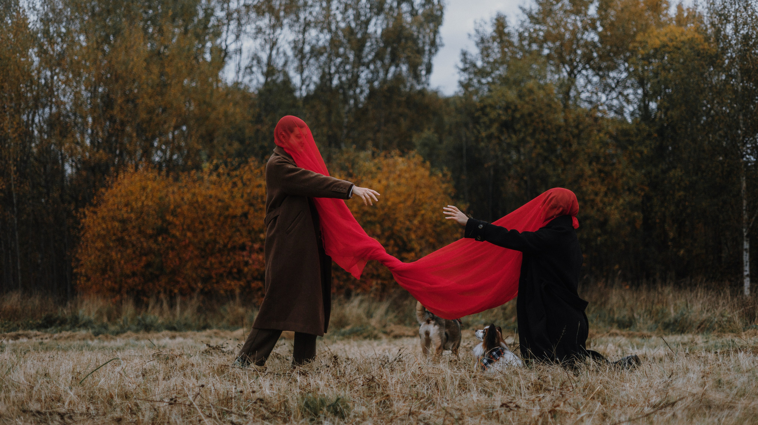 Маша, Катя, Астрид и Мася. Фотограф-анималист Богданова Полина