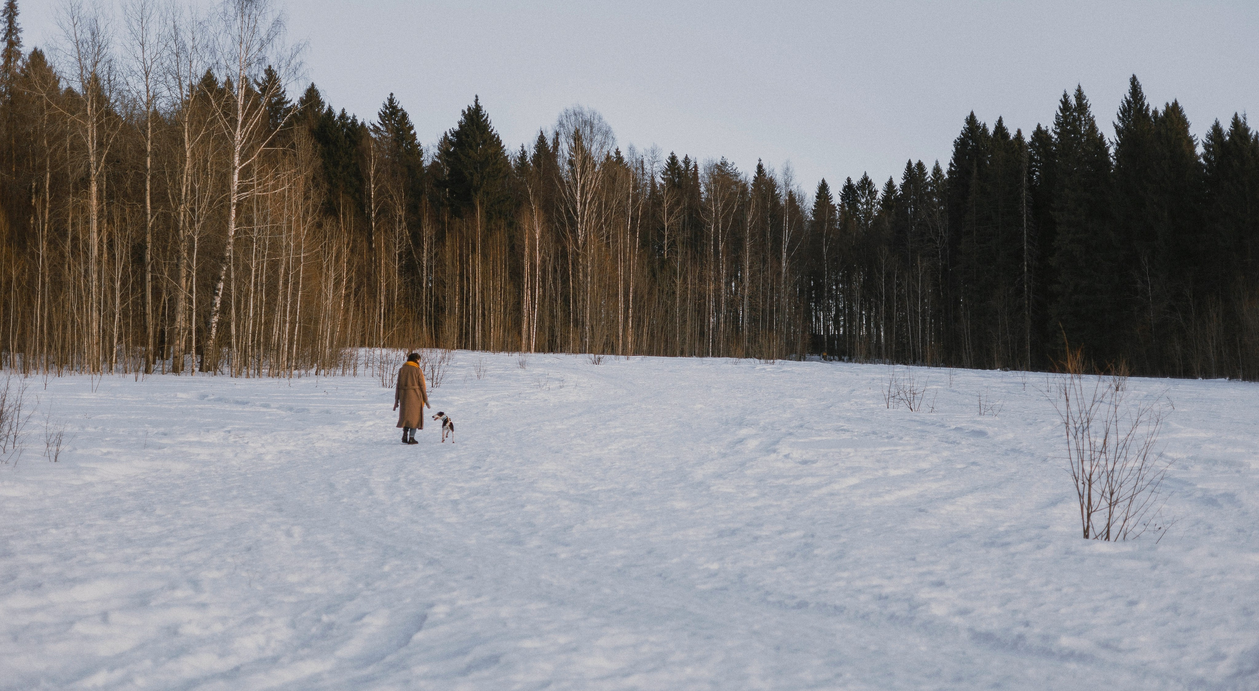 Ольга и Сэм. Фотограф-анималист Богданова Полина