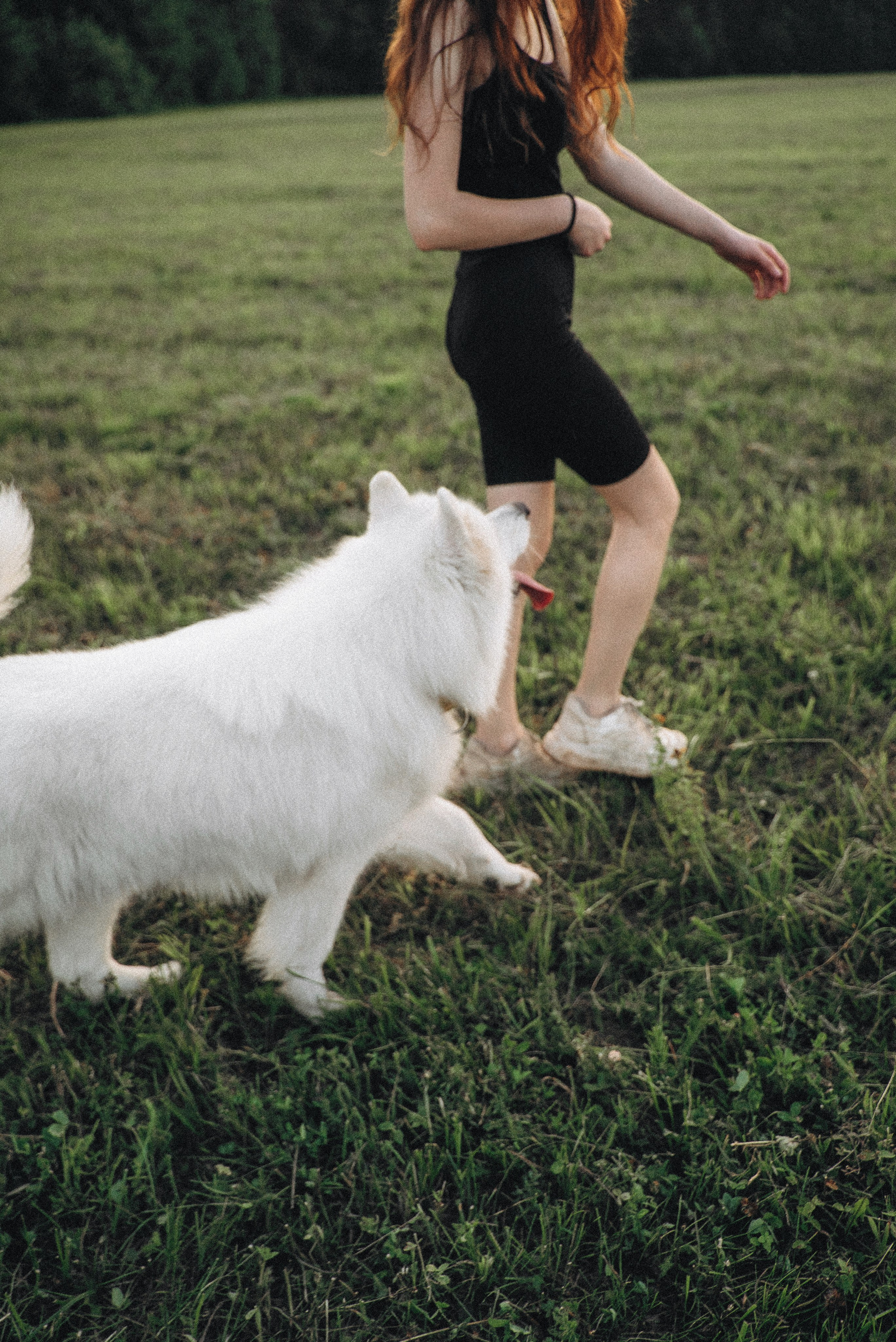 Алёна и Челси. Фотограф-анималист Богданова Полина