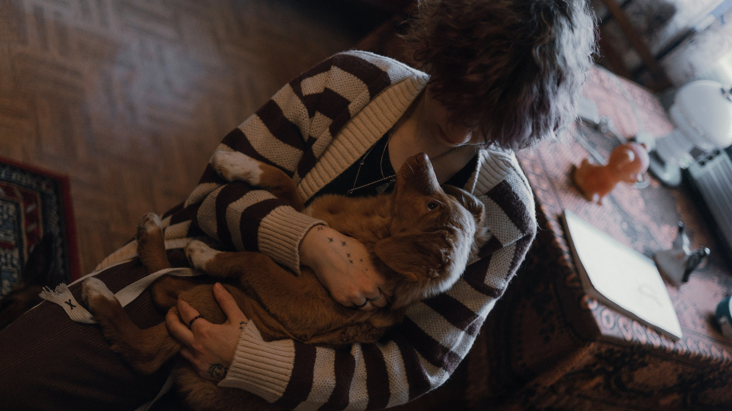 Лера, Реджи и Ральф. Фотограф-анималист Богданова Полина