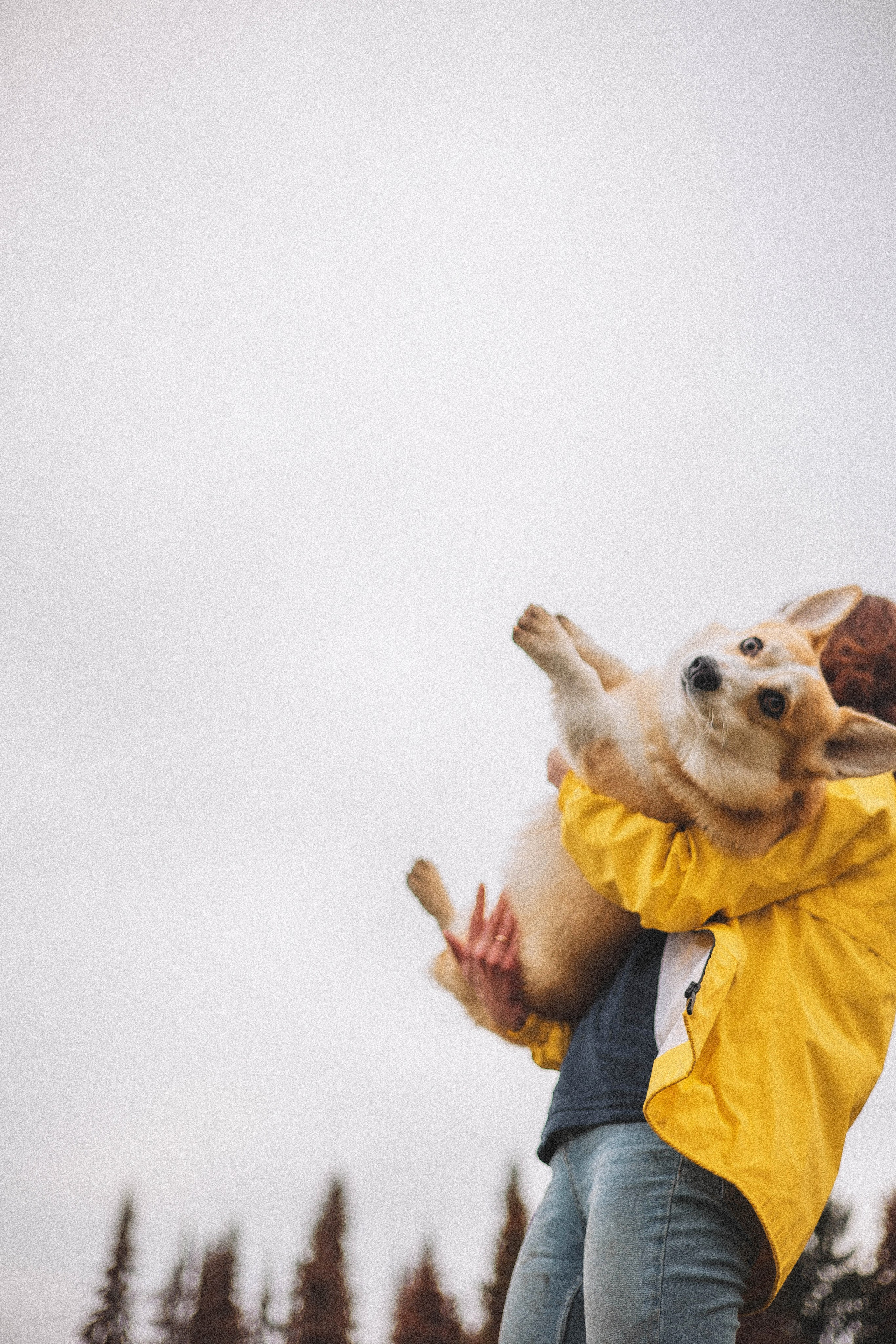 Юля и барри. Фотограф-анималист Богданова Полина