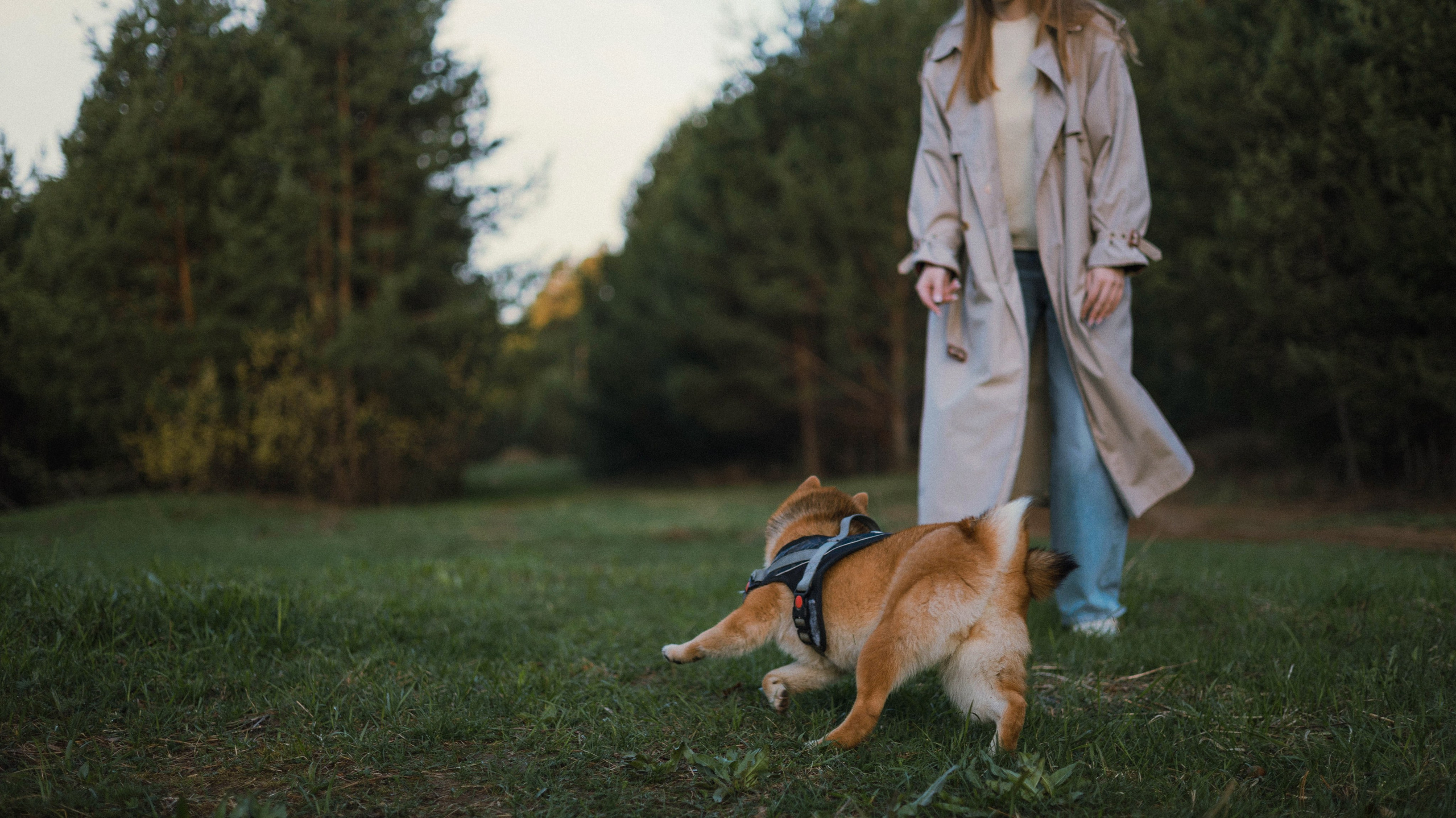Аня и Шани. Фотограф-анималист Богданова Полина