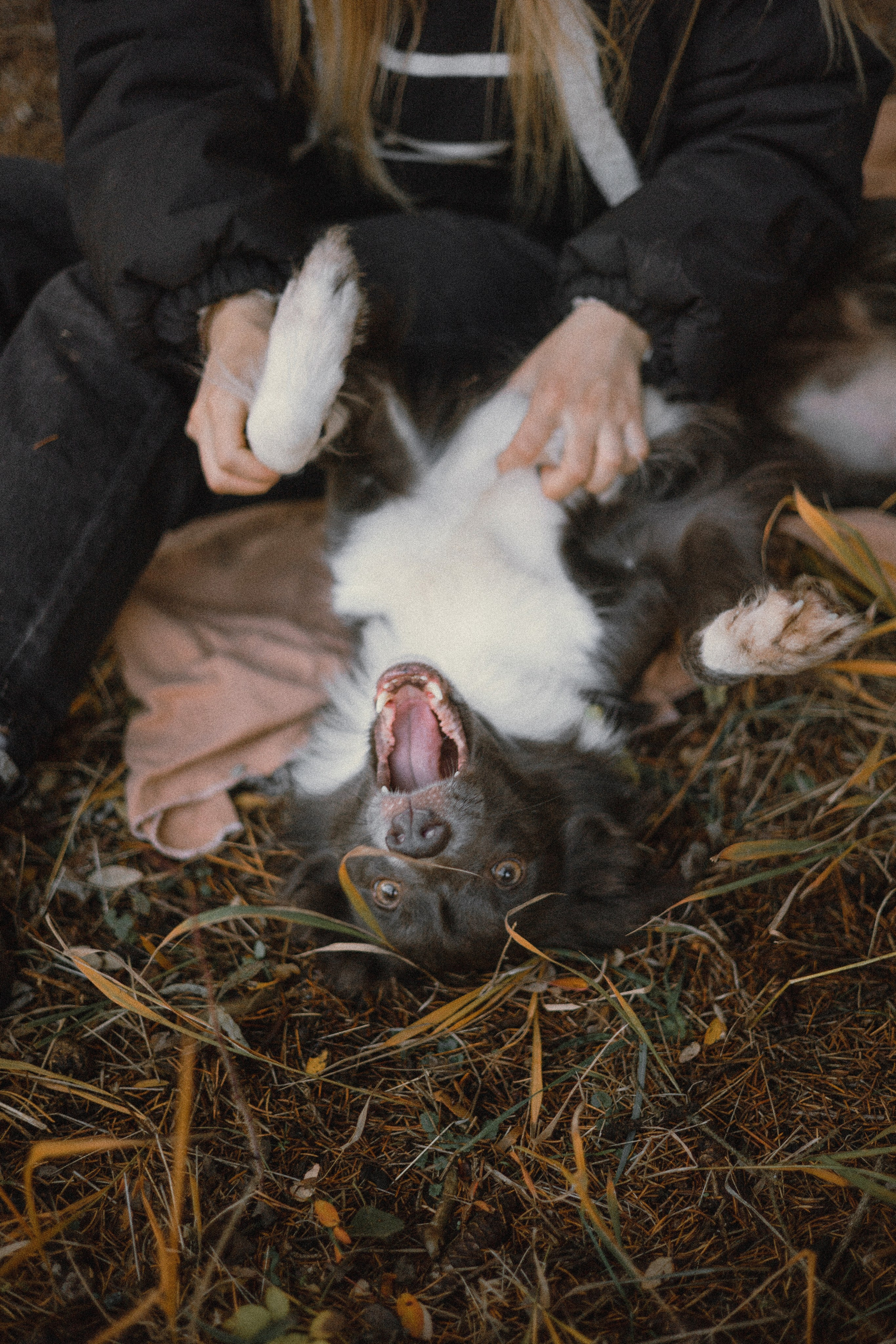 Даша и Дже. Фотограф-анималист Богданова Полина
