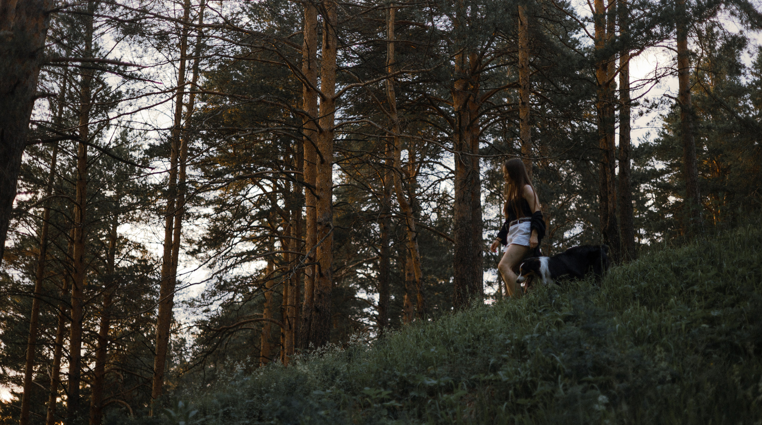 Яна и Уга. Фотограф-анималист Богданова Полина