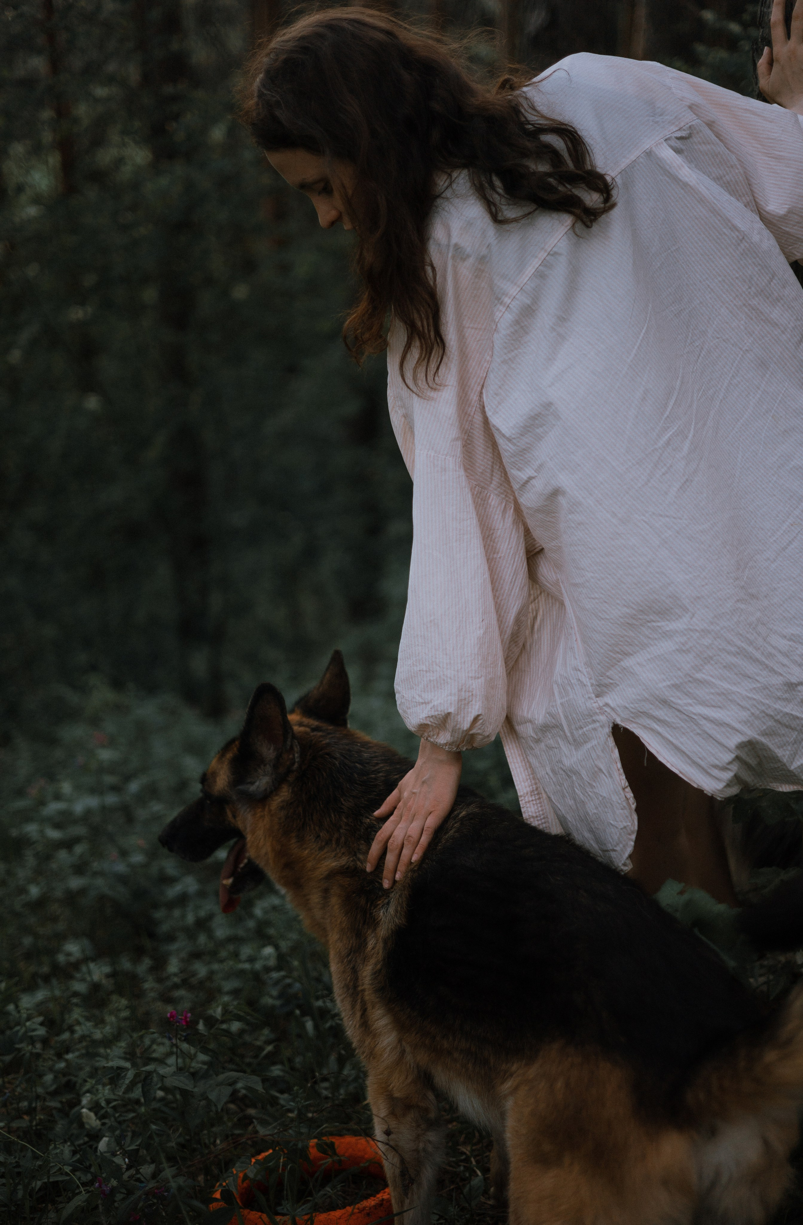 Настя, Шуня, Милка и Тигуан. Фотограф-анималист Богданова Полина