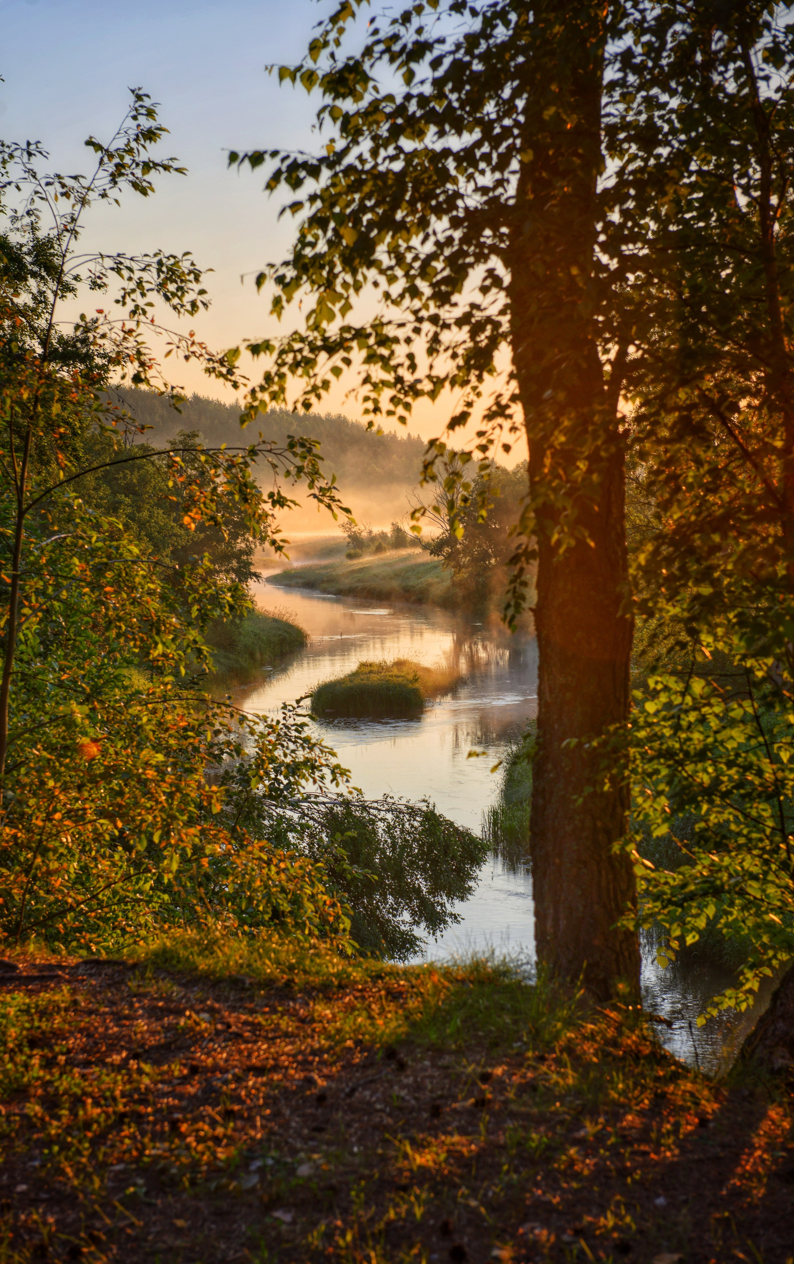 Природа. Приходской фотограф и педагог Екатерина Ивлянова