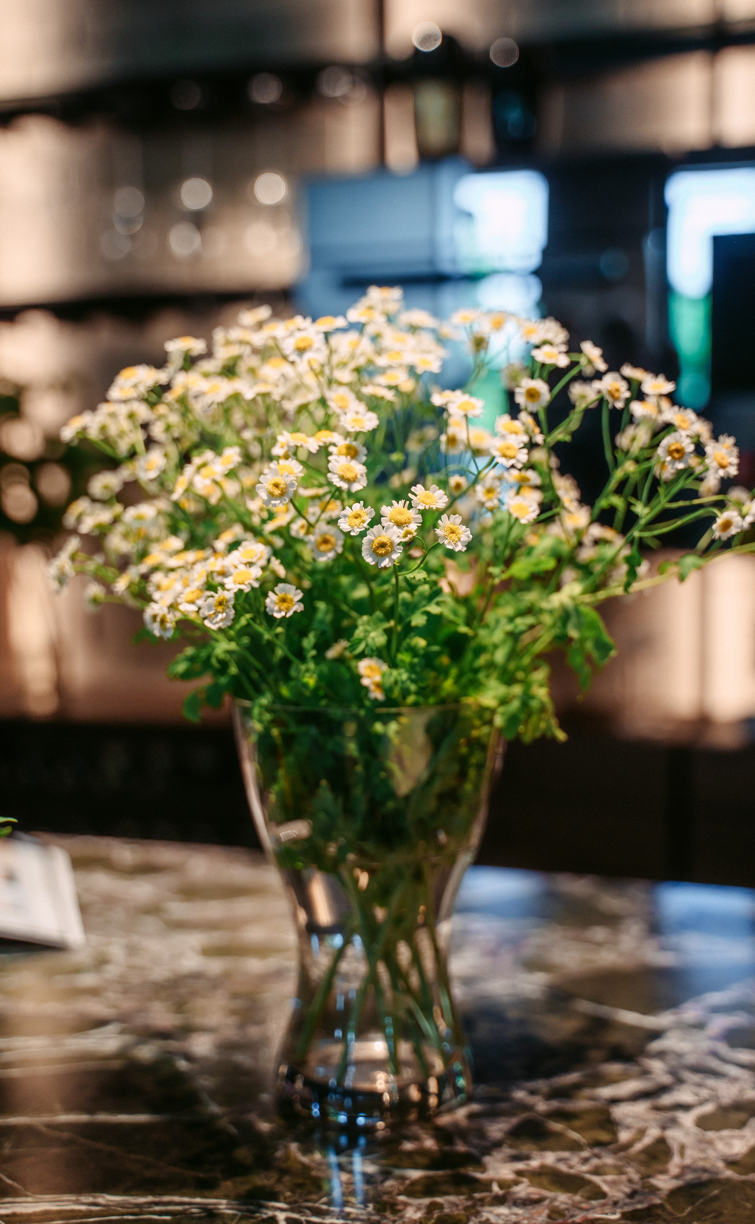 Cesar, Lualdi. Презентация итальянских брендов / 2024. Саша Копылов, фотограф в Казани