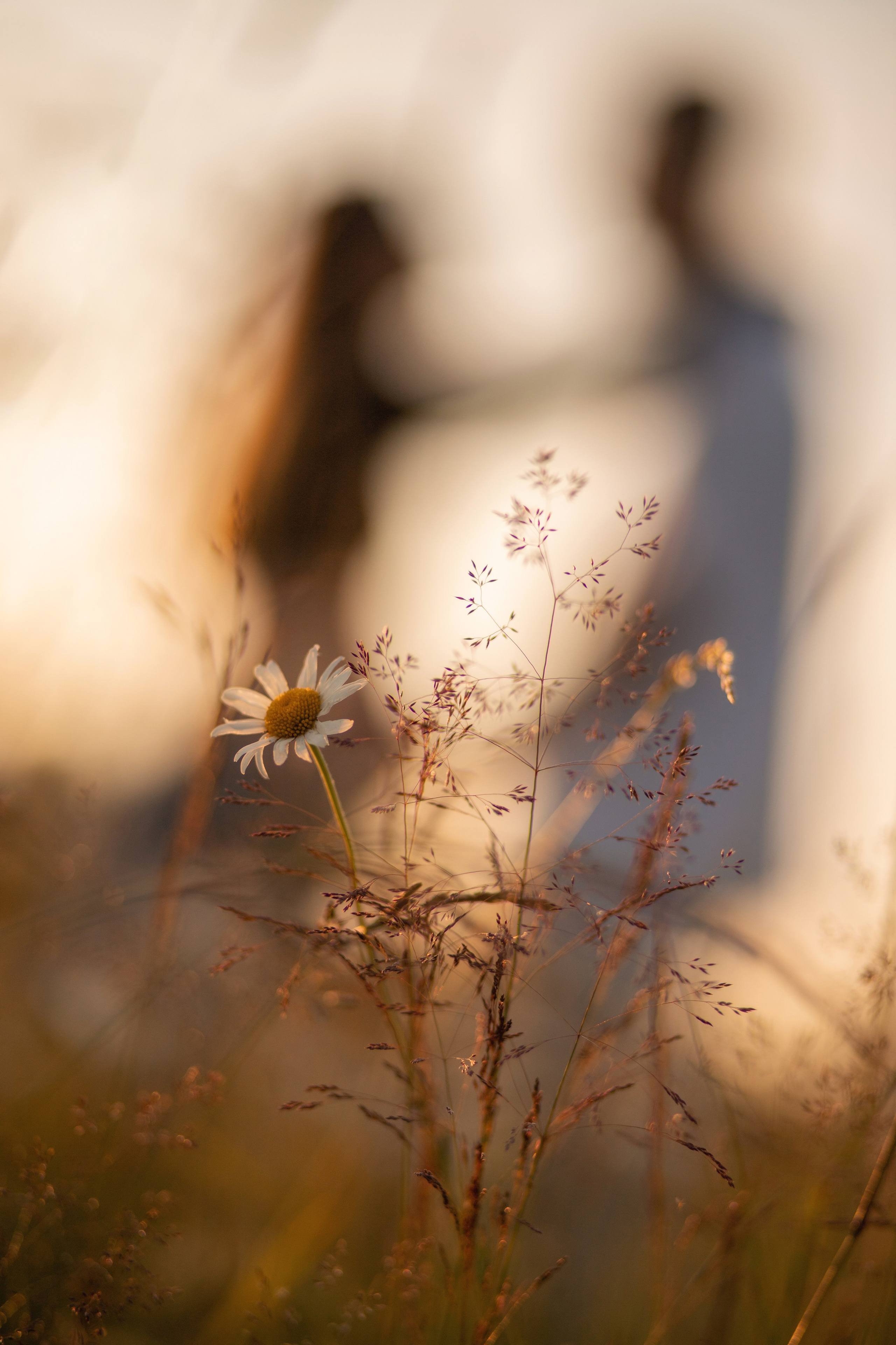 Love Story. Фотограф Мытищи-Москва Мария Апреликова
