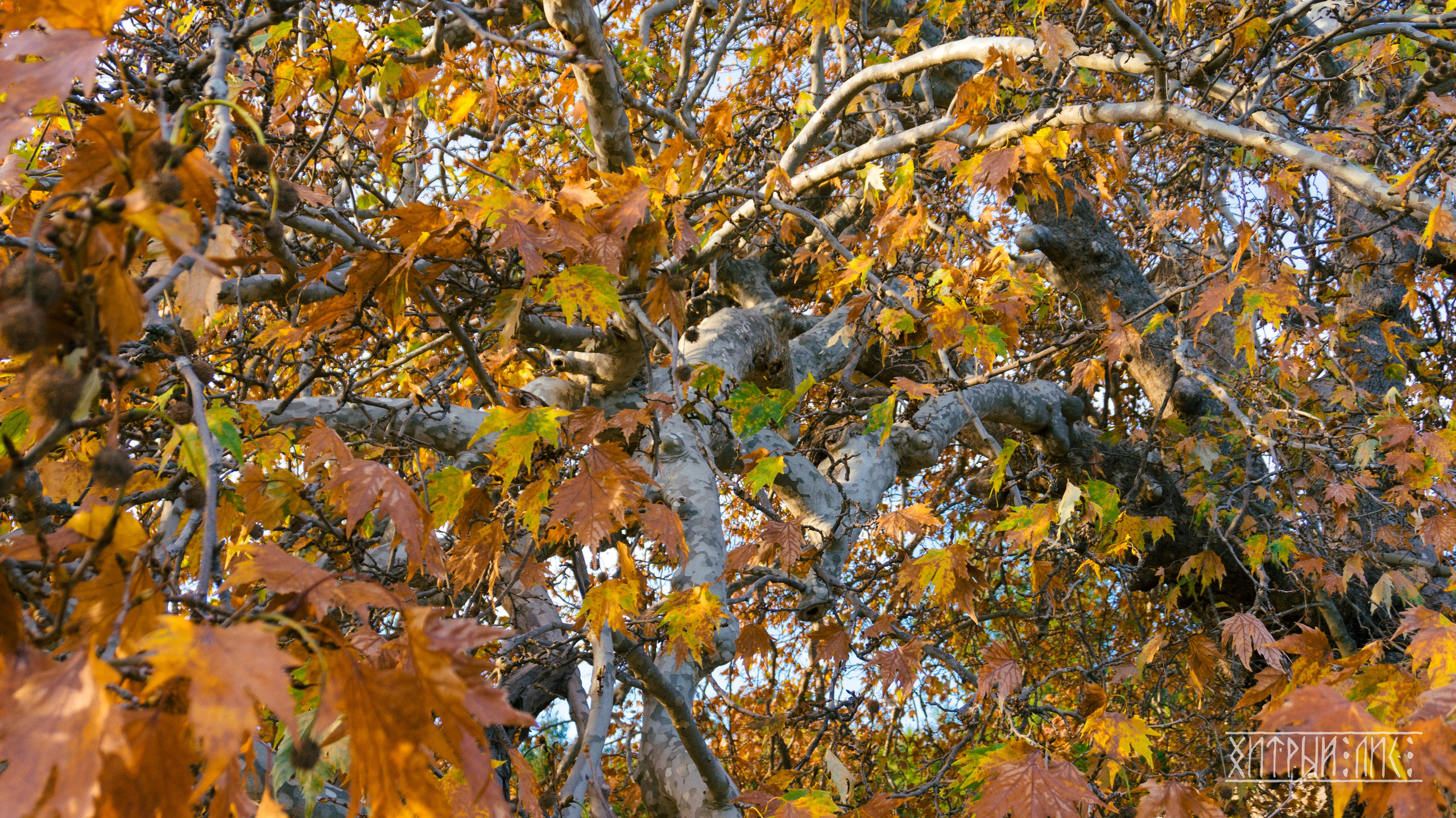 Турция. Ликийский путь. Фотограф-путешественник Самойлов Максим «Sly Fox»