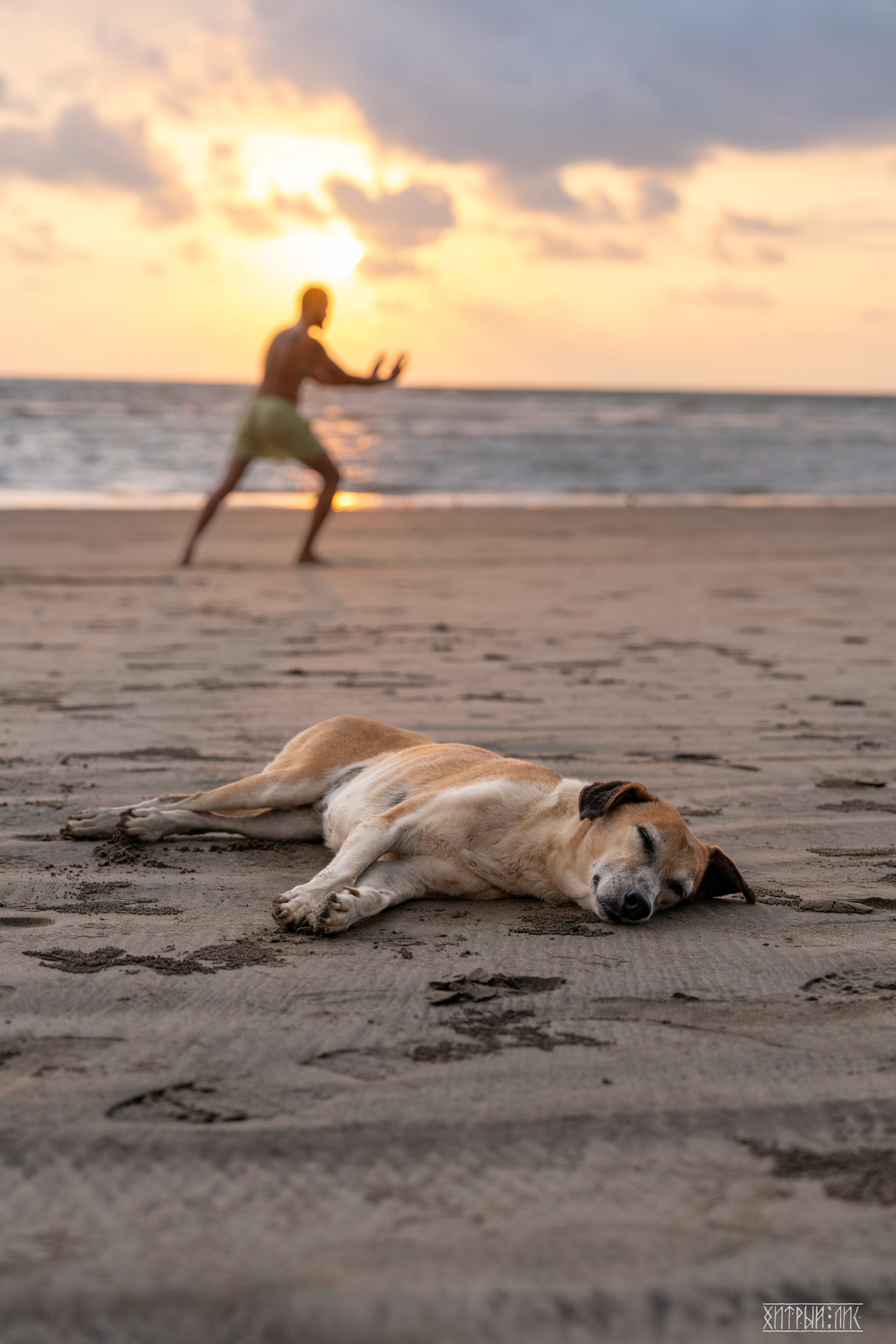 Гоа-Мумбаи. Фотограф-путешественник Самойлов Максим «Sly Fox»