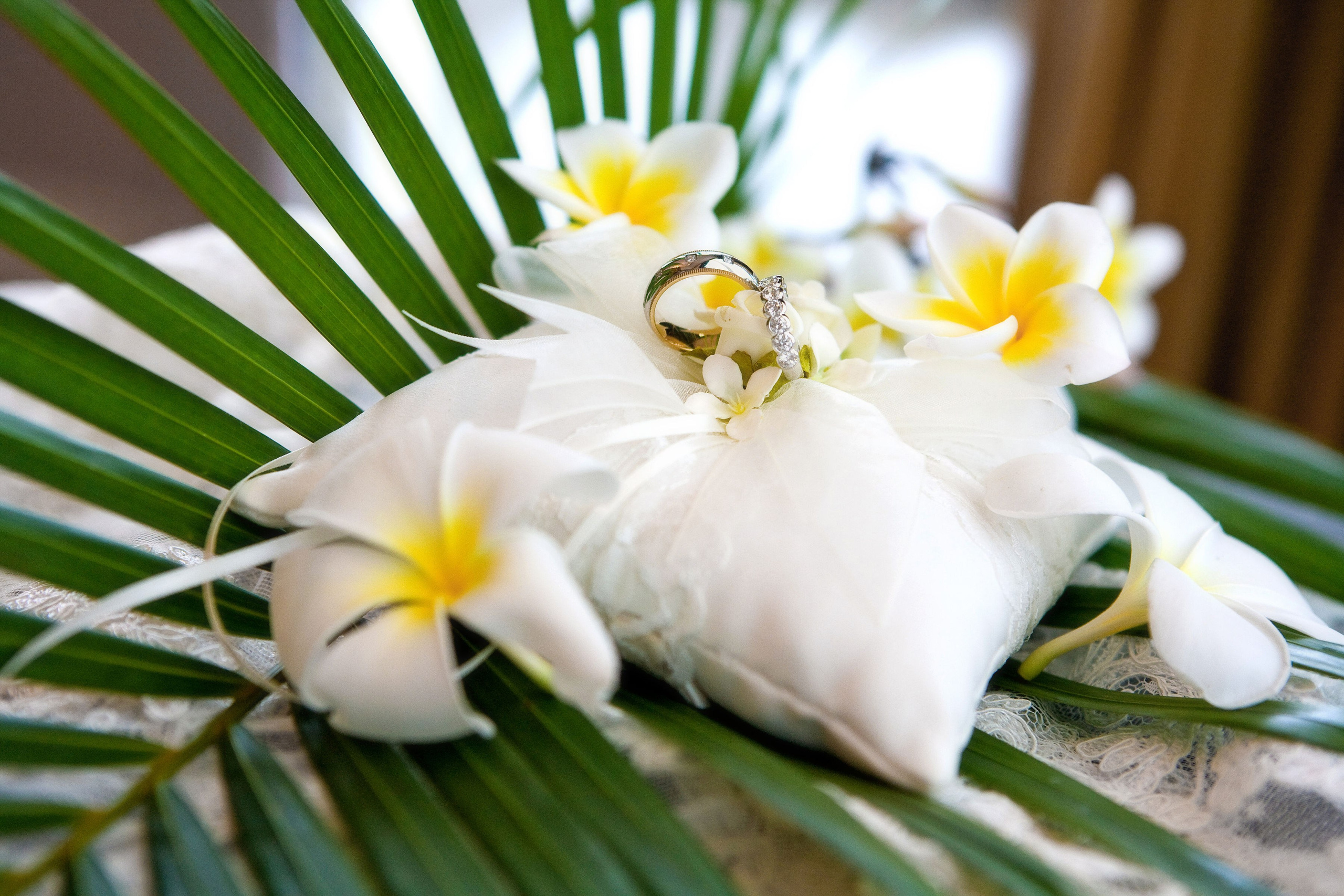 Свадьбы. Фотограф Алексей Архангельский