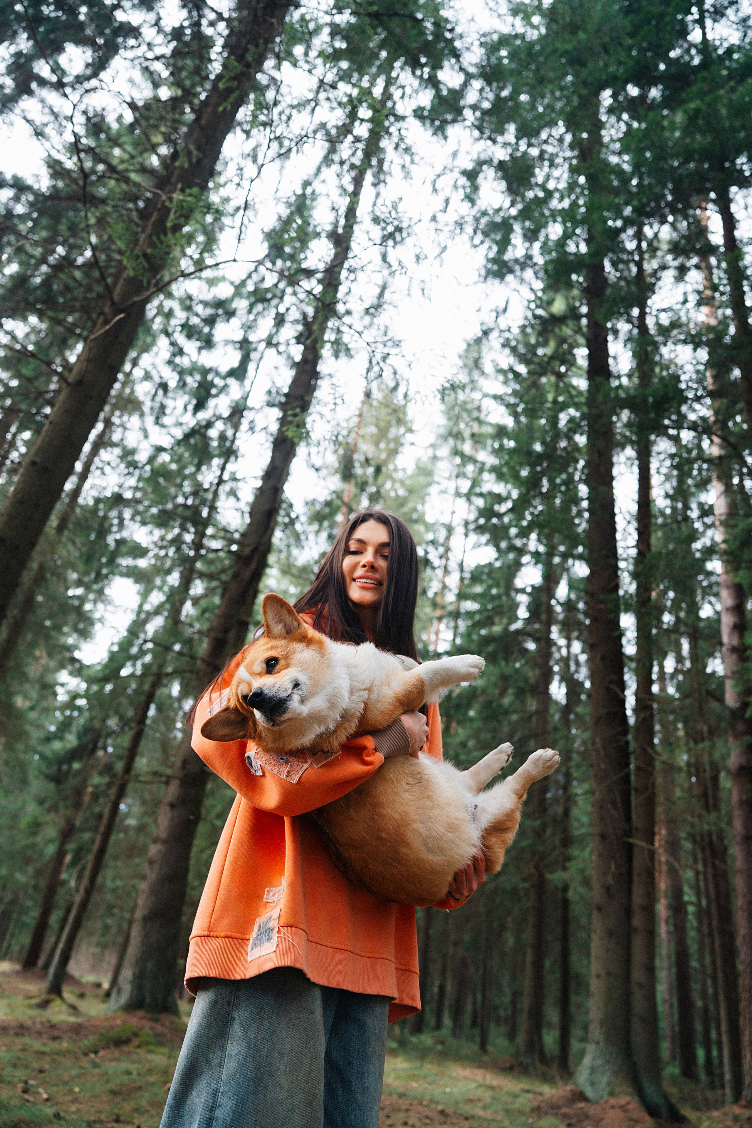 Хвостики. Главная