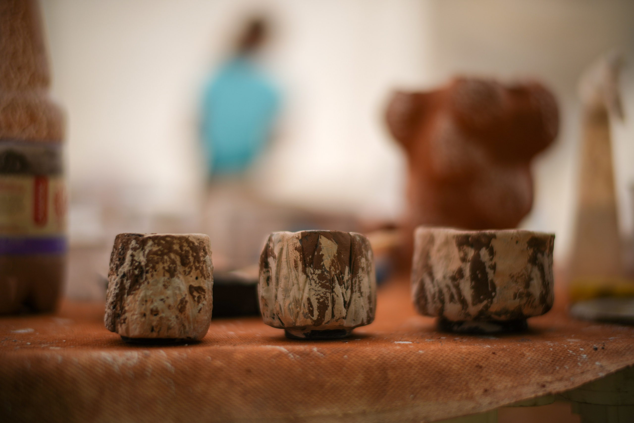 Wild fire 2024 — Дикий огонь 2024