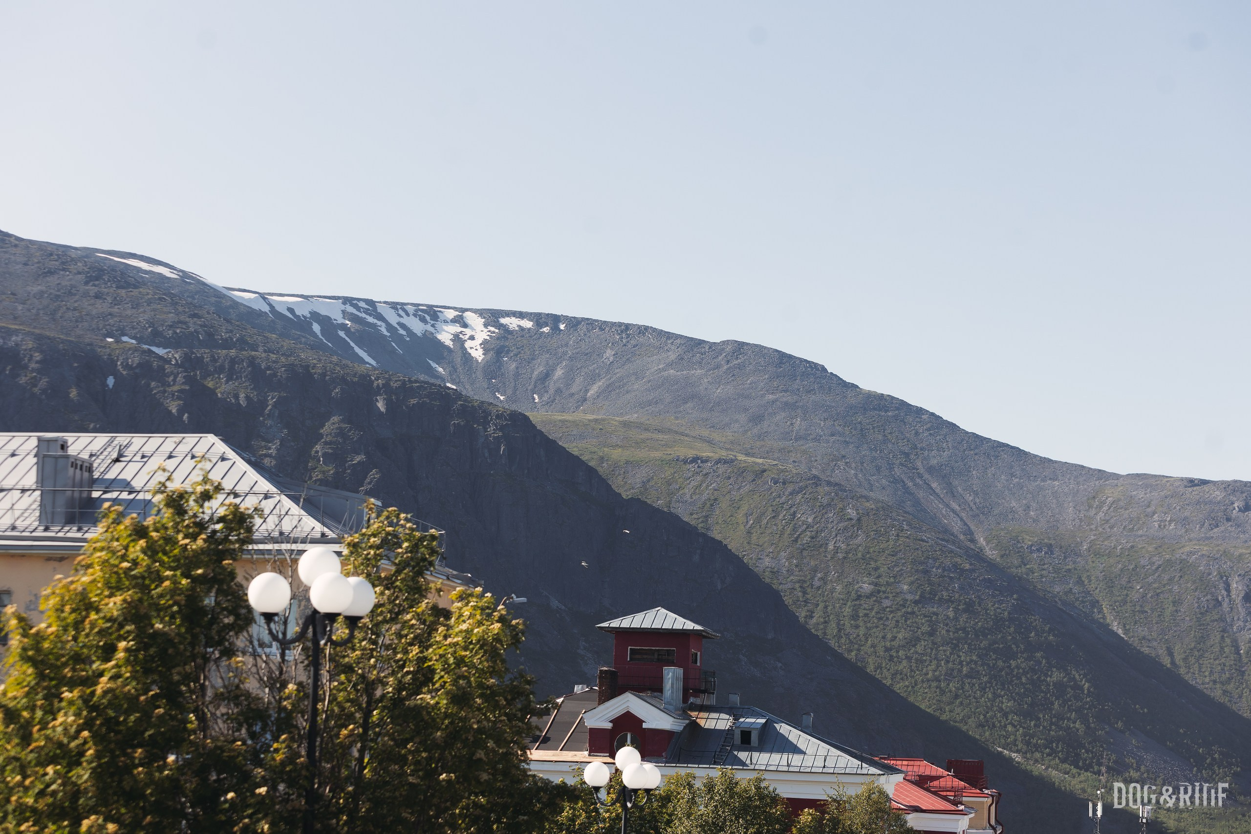 Хибины. Фотограф анималист Никита Натальный
