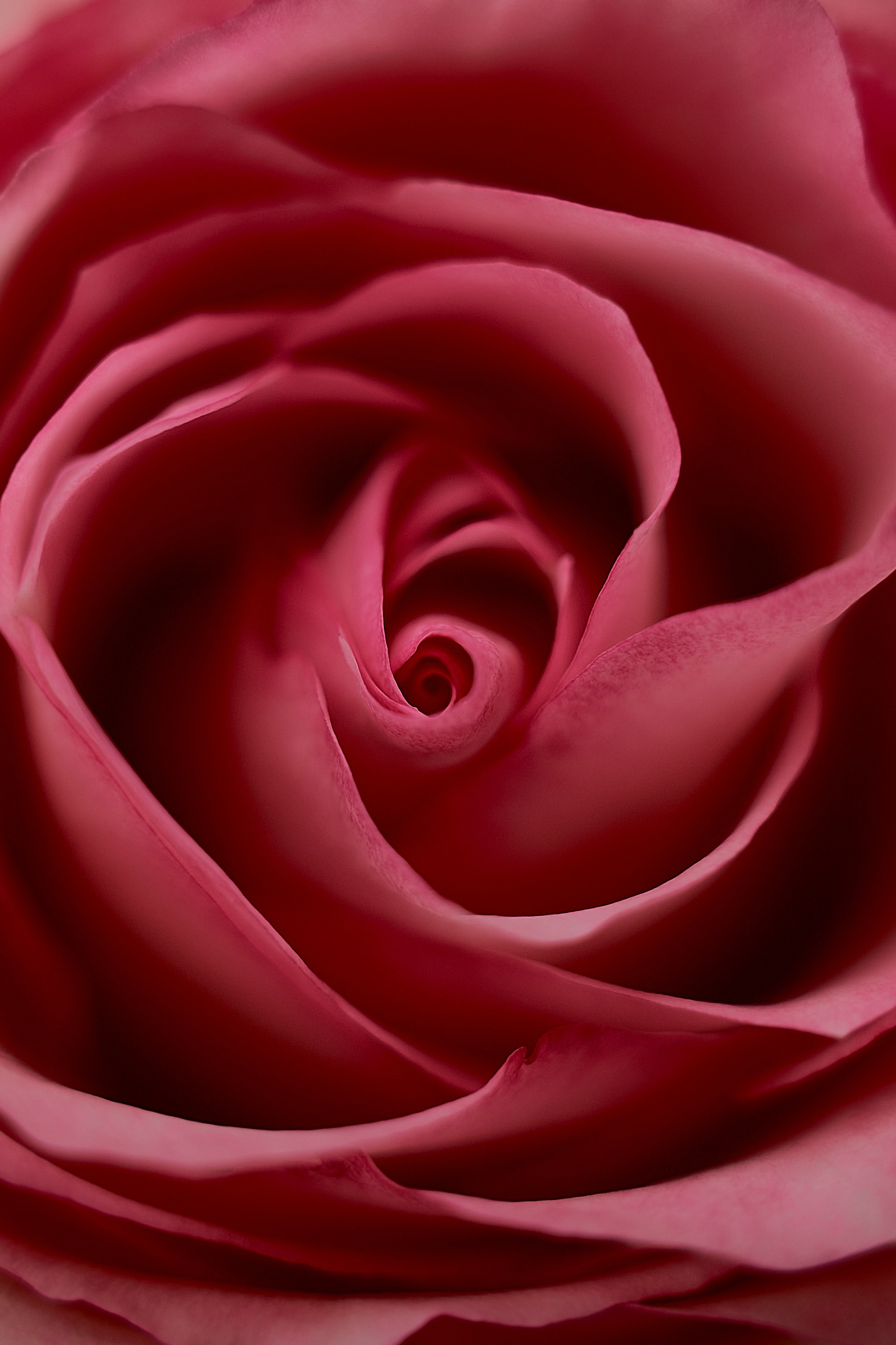 Алена. Ваш фотограф Анастасия Болотникова