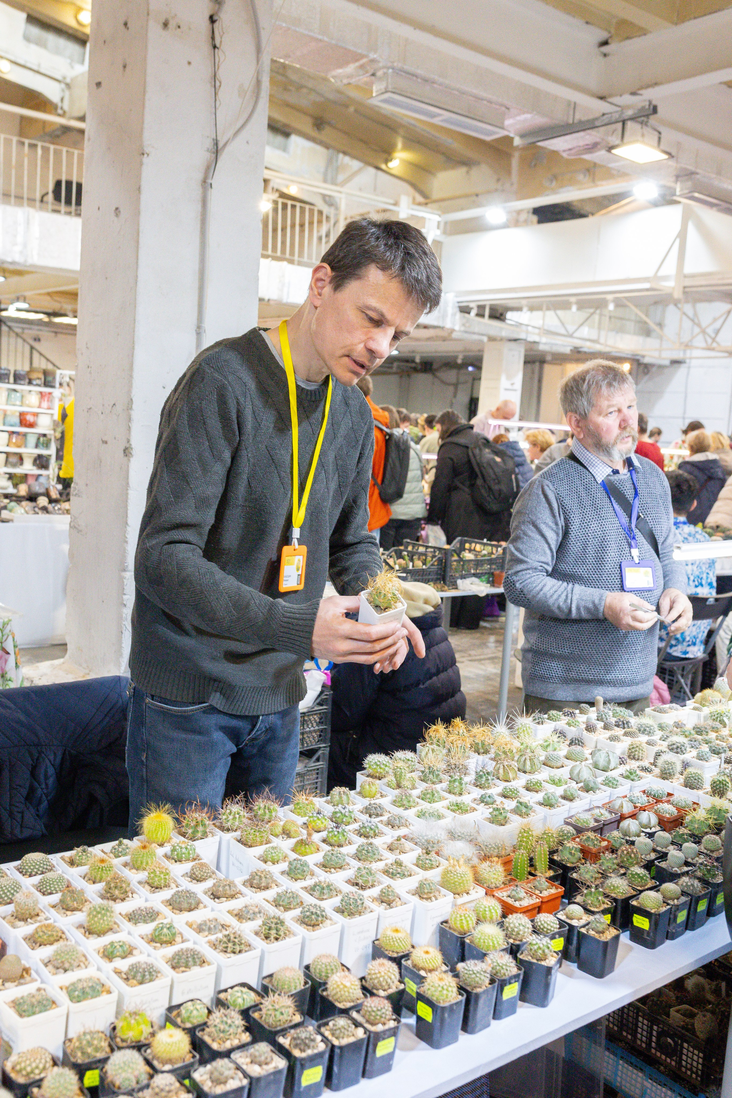 Кактус Фест. Александра Куликова фотограф, Москва