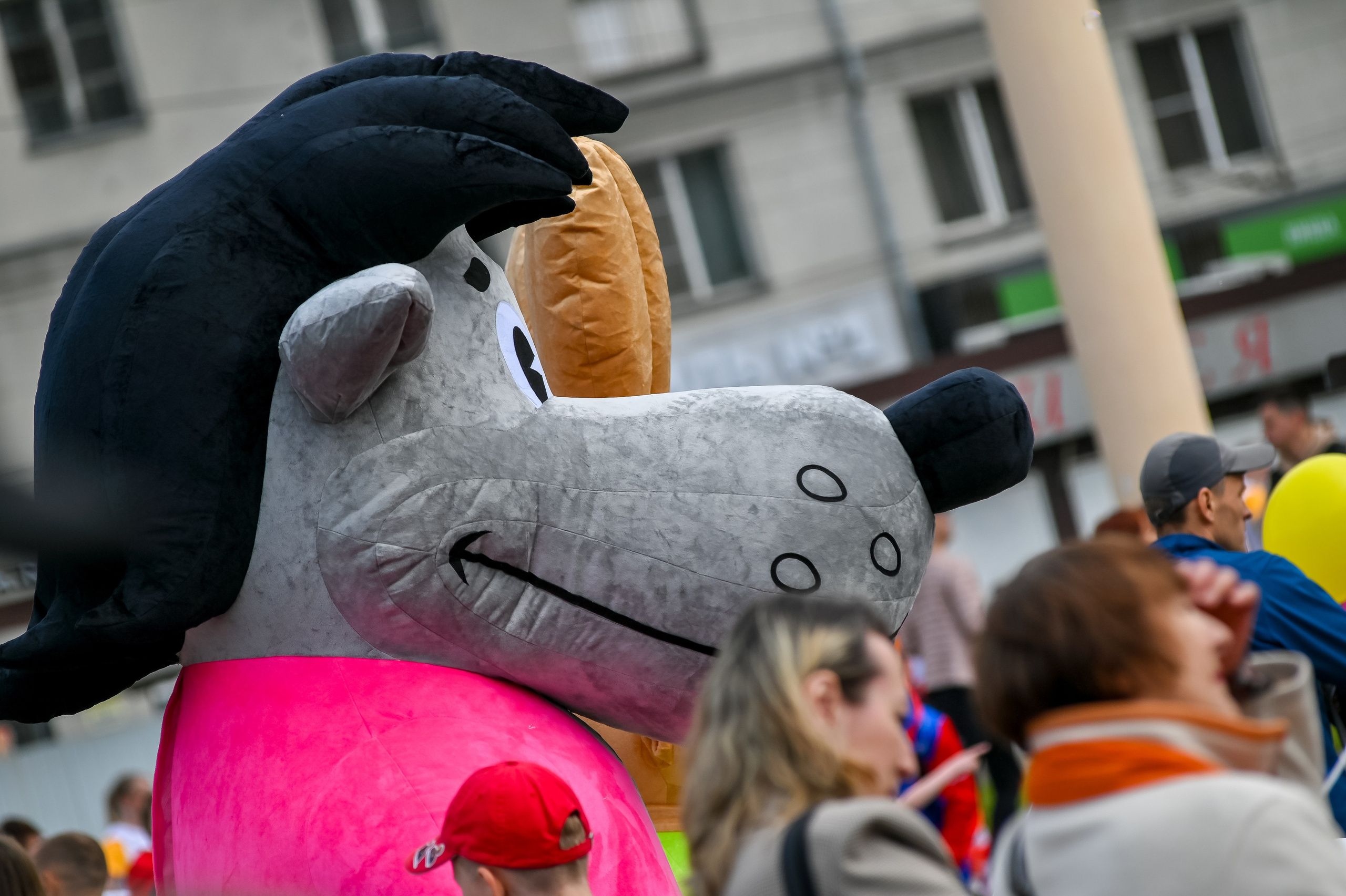 Забег «Дай пять» в Новокузнецке 26.05.2024. Репортажный профессиональный фотограф-любитель