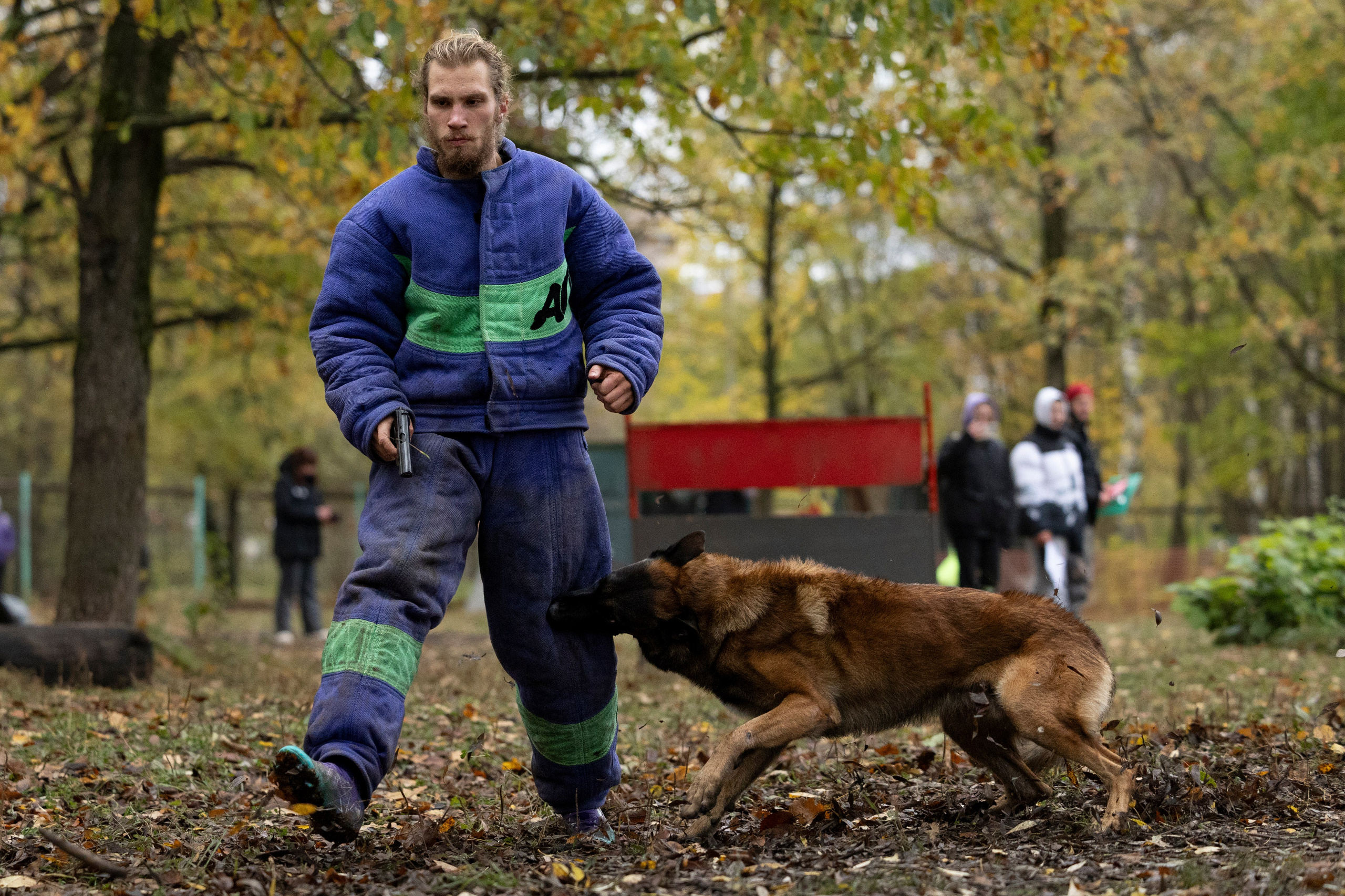 Соревнования по Мондьорингу г. Вологда. Фотограф-анималист Анна Маринич