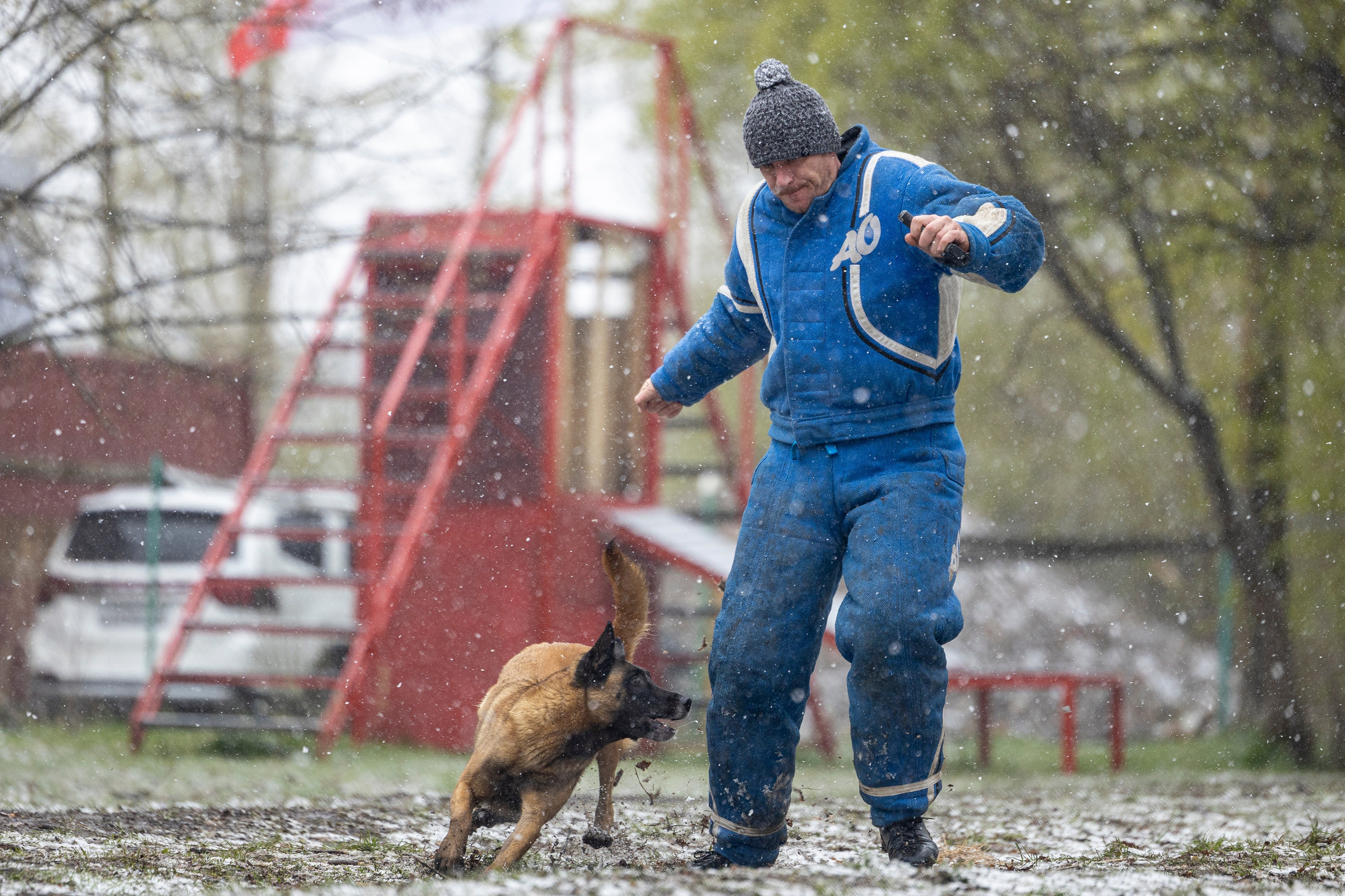Квалификационные состязания по мондьорингу г. Вологда 11.05.24. Фотограф-анималист Анна Маринич