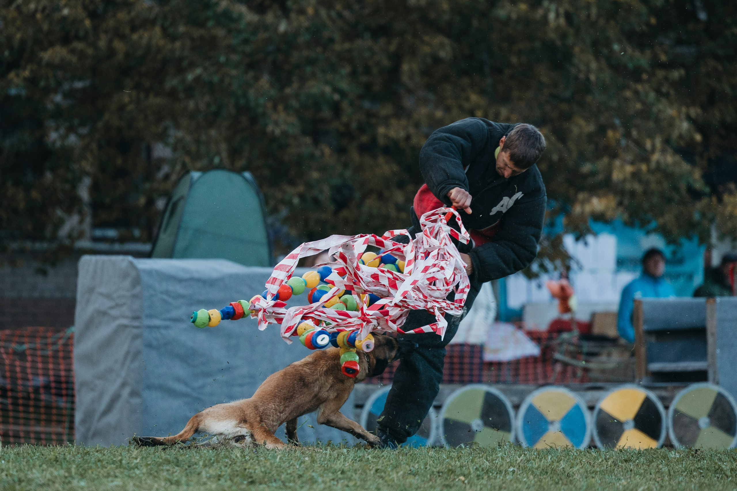 Испытания по мондьорингу г. Пушкин 29.09.2024. Фотограф-анималист Анна Маринич