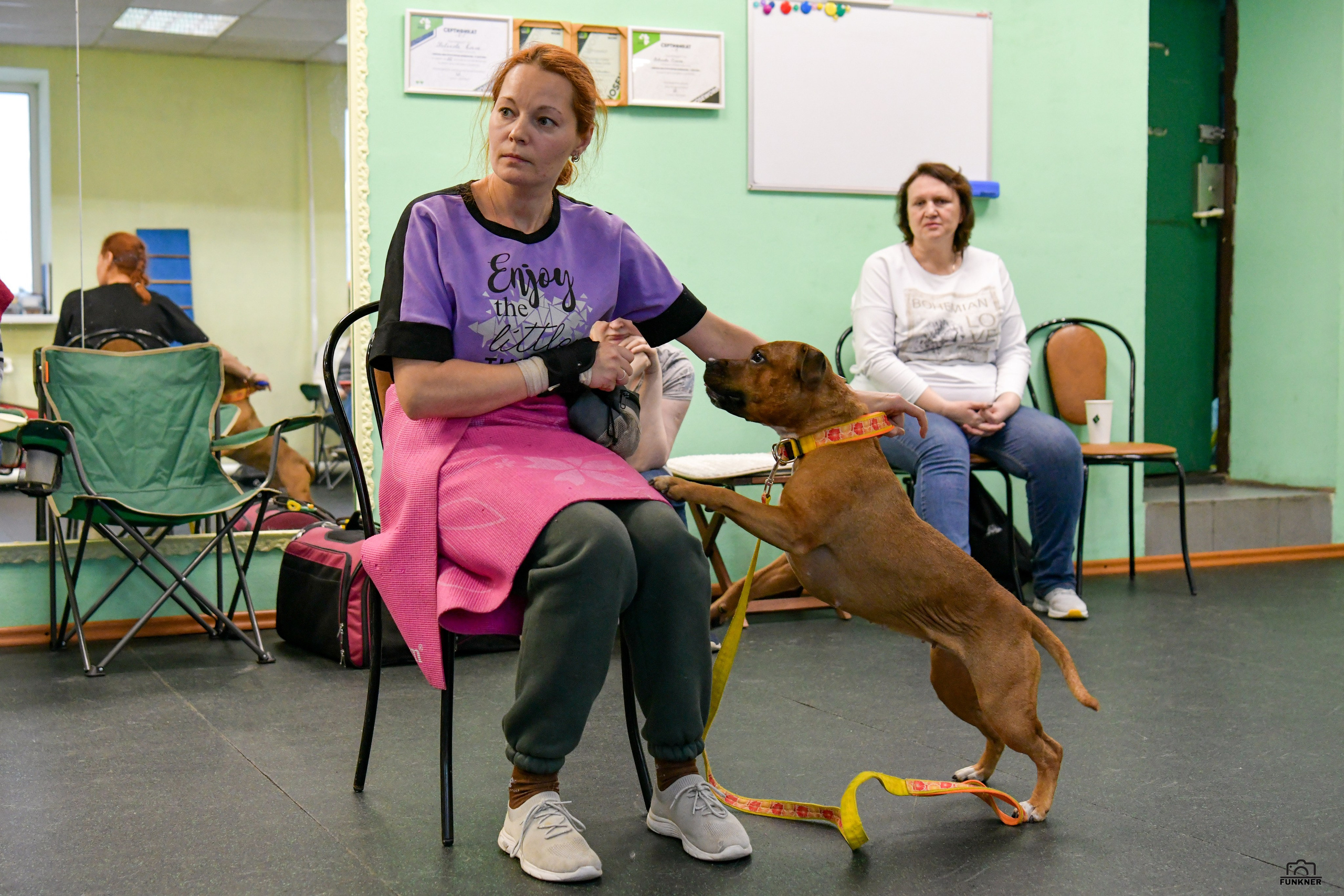 Кинологический клуб «Бодрый хвост». Свой взгляд через объектив