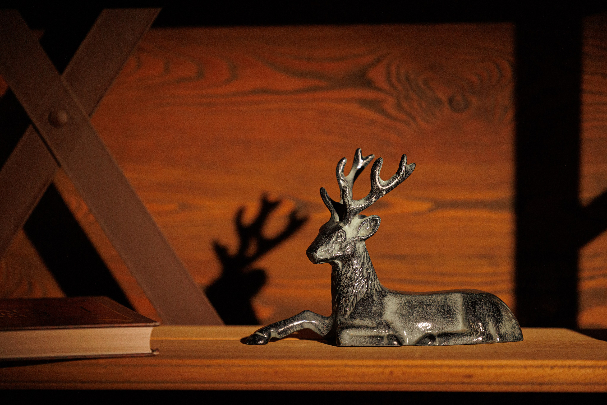 LEVARDI. Репортажный фотограф Ольга Кочетова в Москве