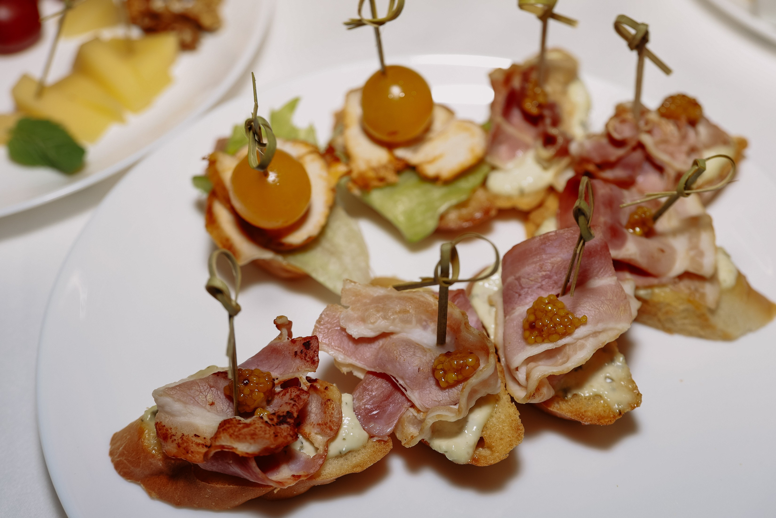 Презентация Семейного квартала Оптимисты. Фотограф Юлия Мальцева