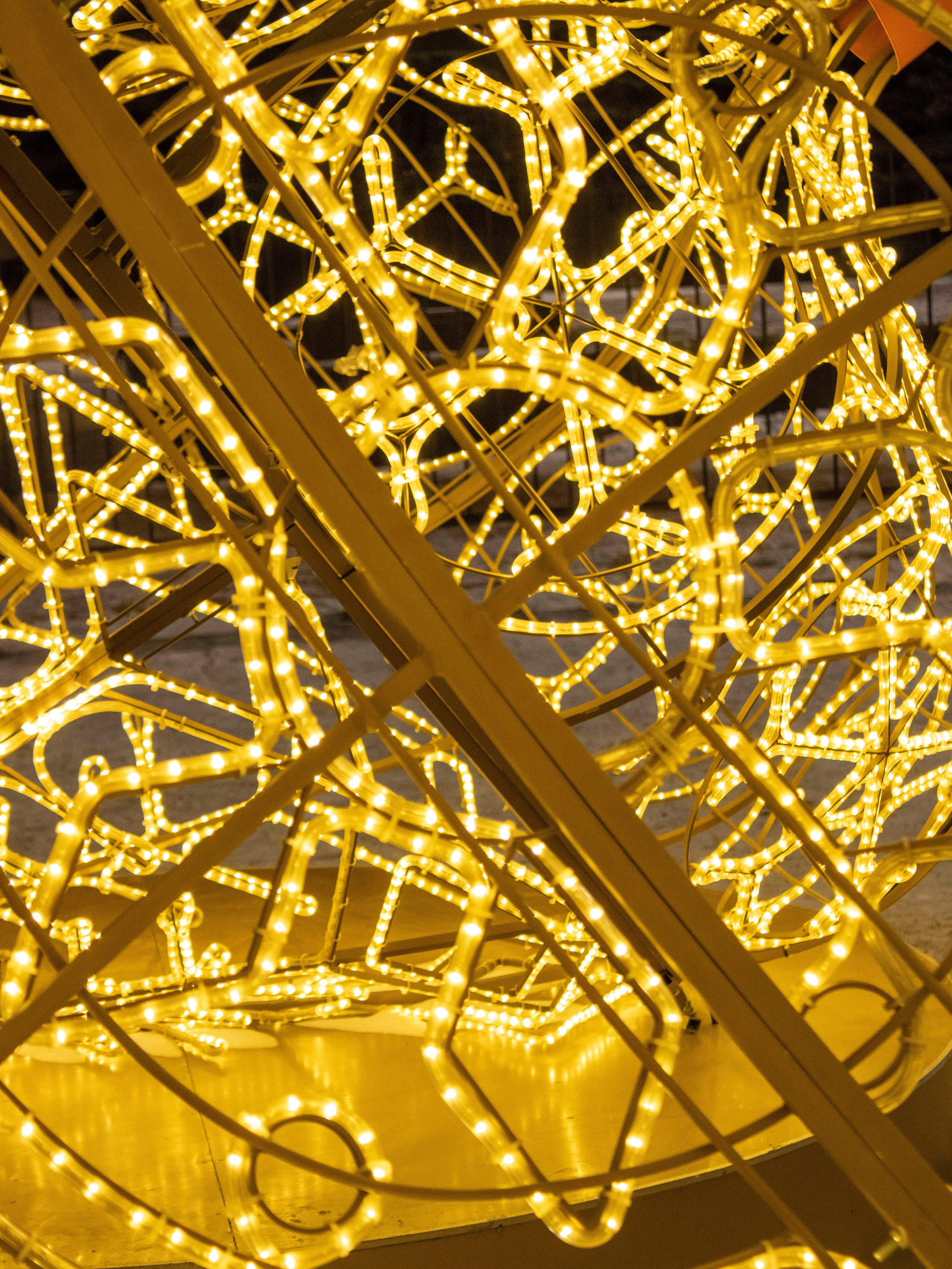 Новогодняя вылазка 2024. Фотограф г. Владивосток