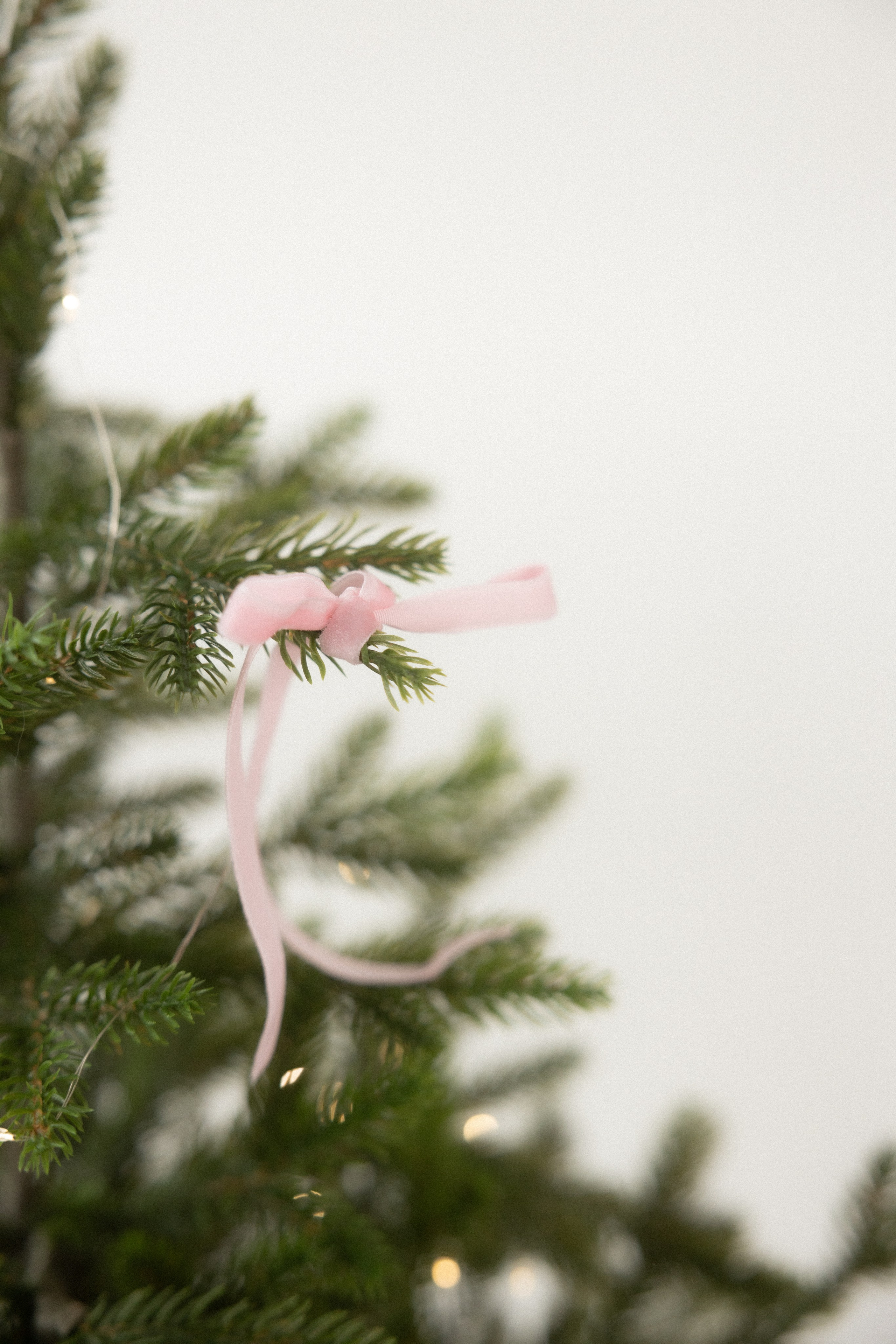 Андрей + Маша + Ника. Семейный и детский фотограф Юлия Шох