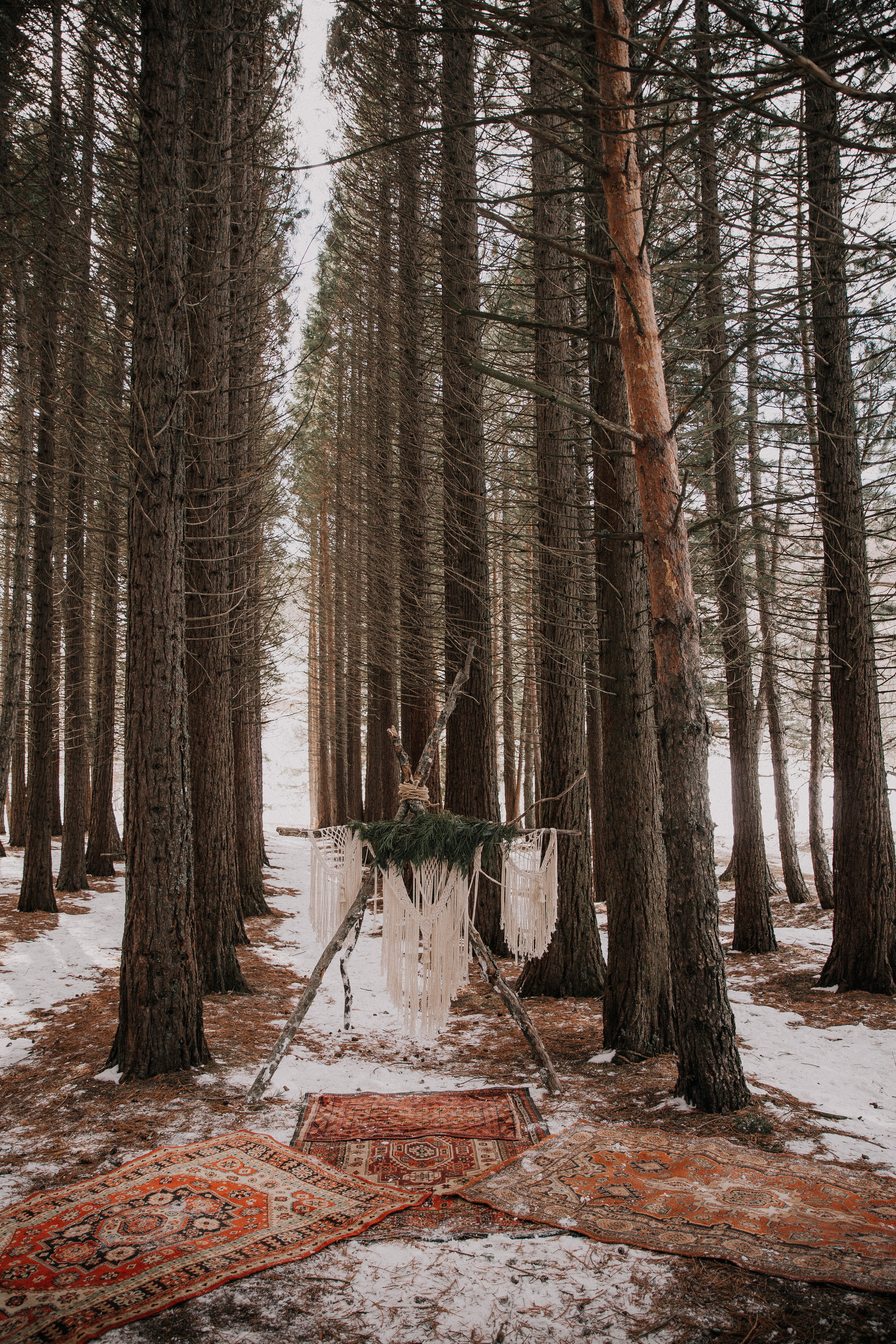 Sequoia story. Свадебный и портретный фотограф в Севастополе Елизавета Юшкевич