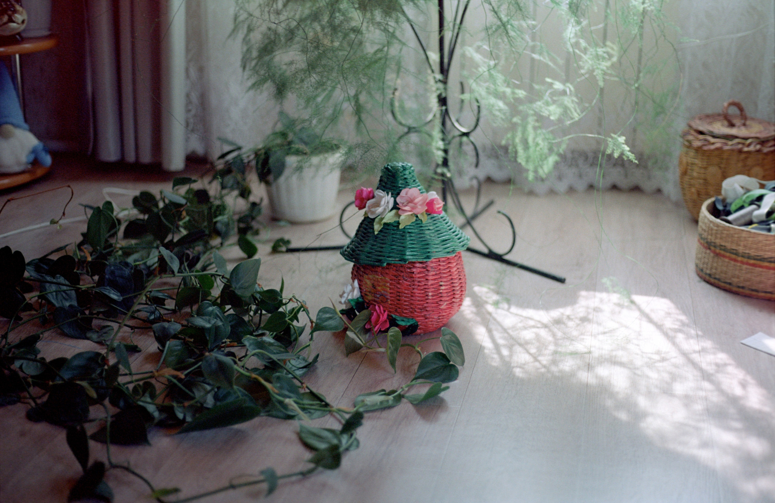 Плёночные фотосессии в Уфе. Свадебный и семейный фотограф в Уфе и Башкирии Дмитрий Коломеец