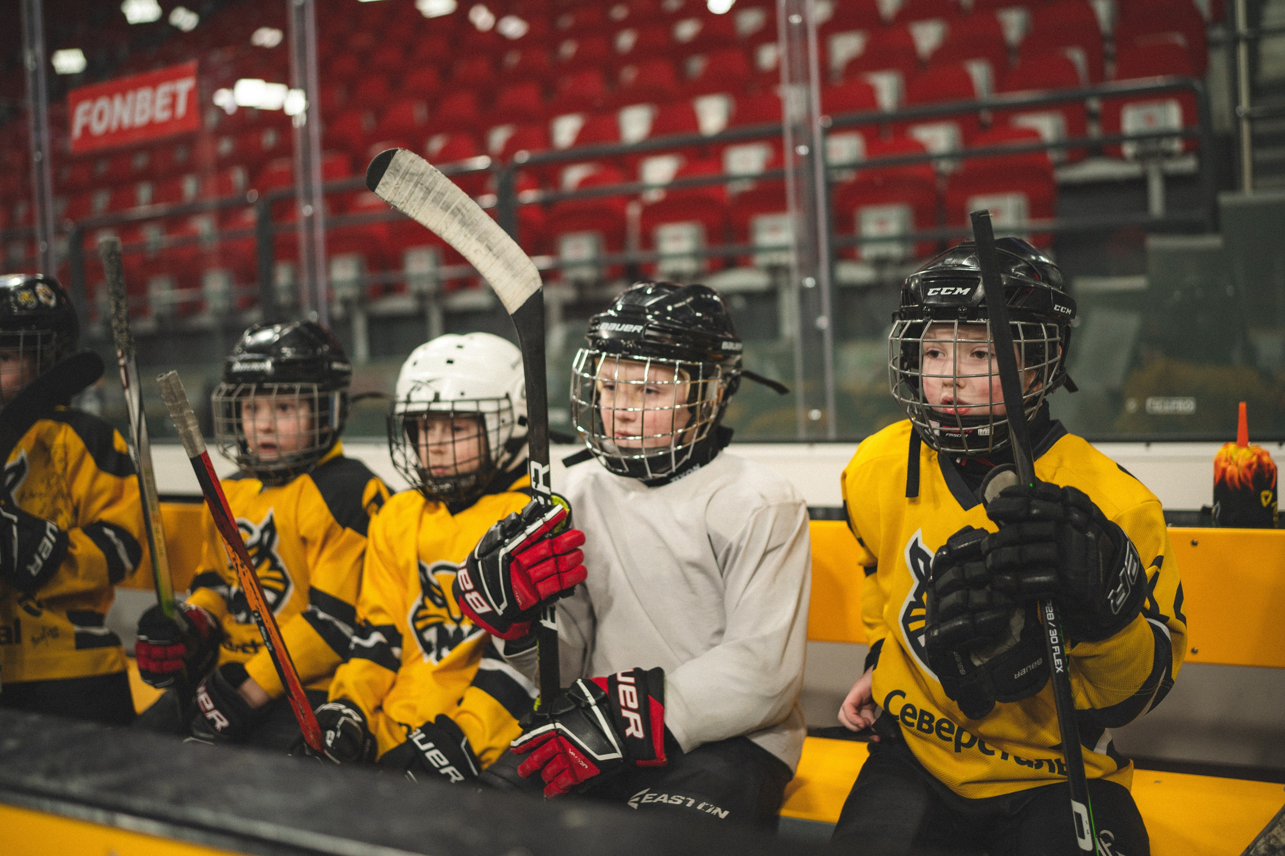 ХК Северсталь (младшая группа). Череповец. Zekons. Фото, видео, нейросети