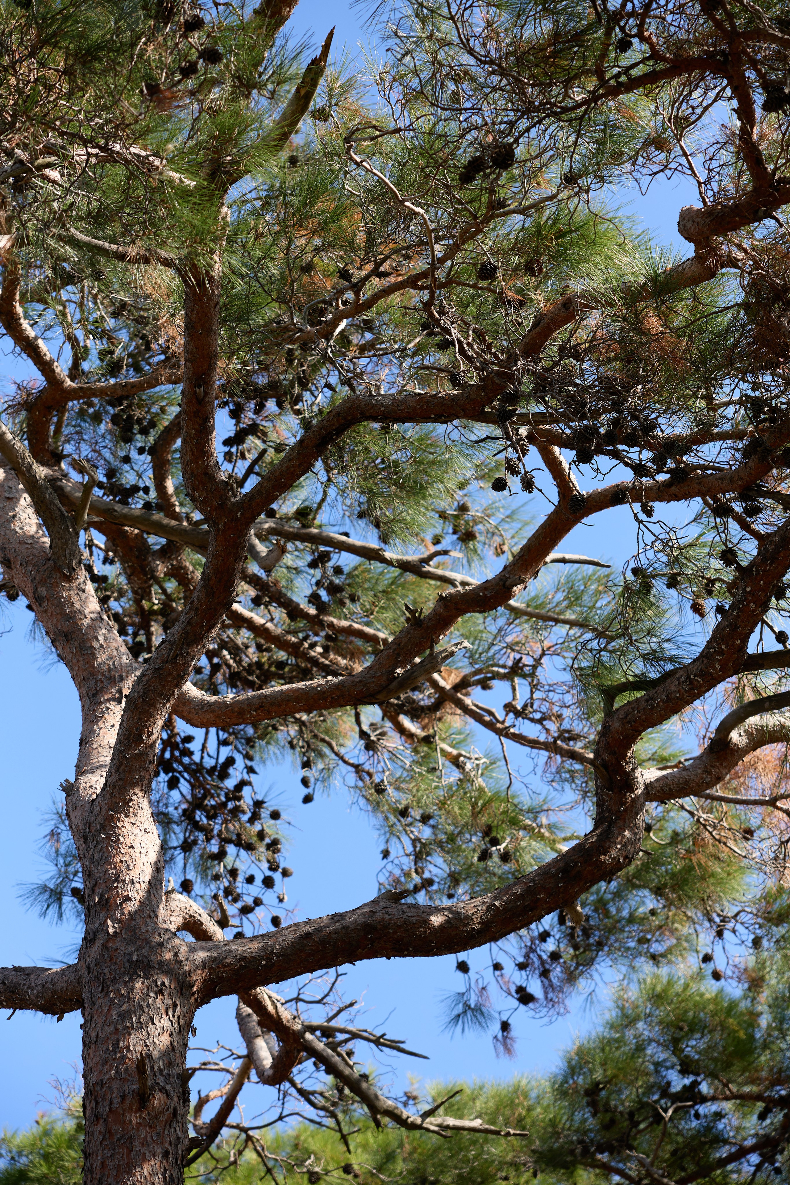 Стамбул 24. Фотограф Москва, Дима Пеллер