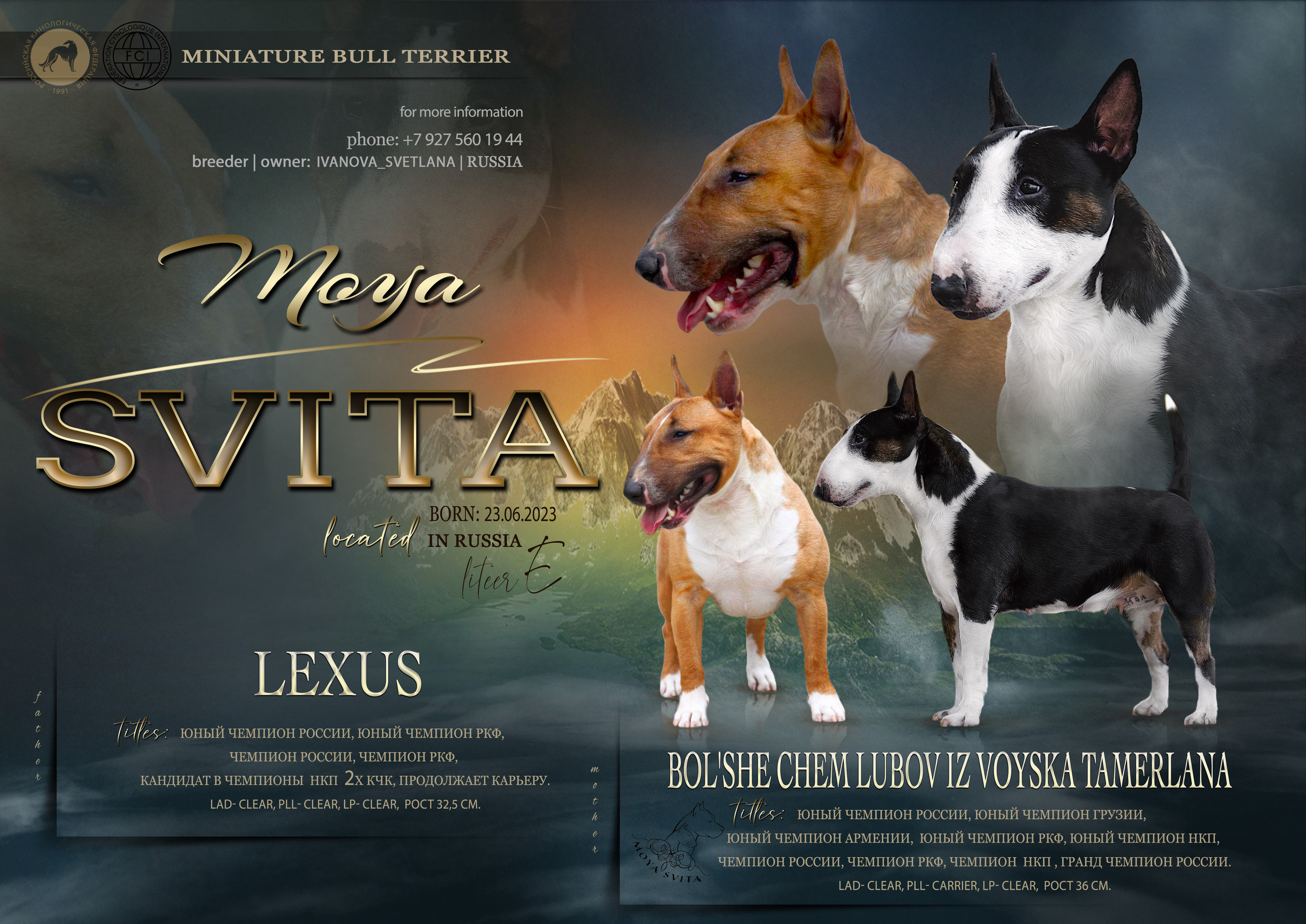 Animal presentation. Фотограф